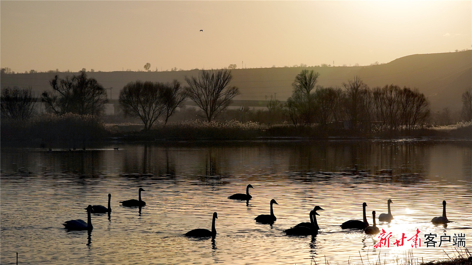 FZ007246246890_A5523650