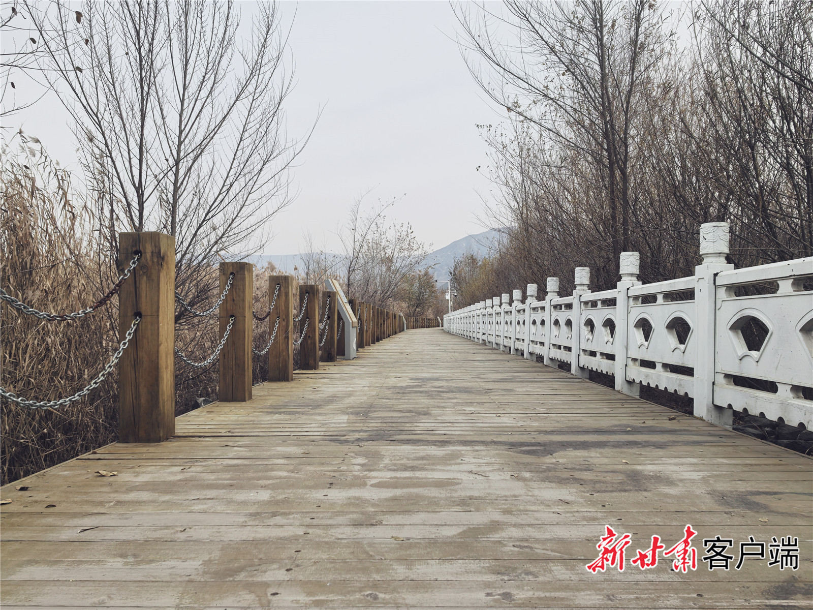 FZ007246246890_A5523656