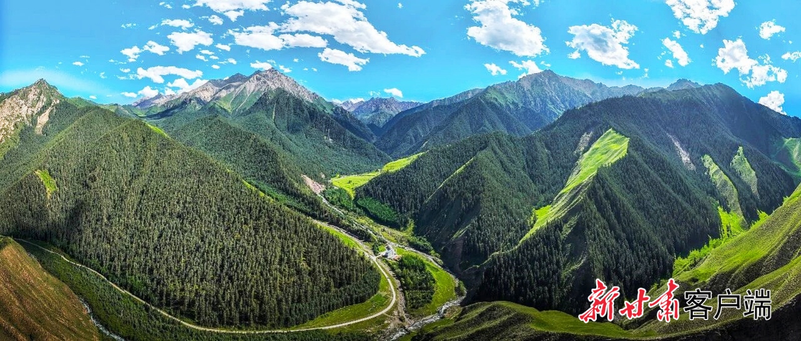 FZ007246262707_A5524643