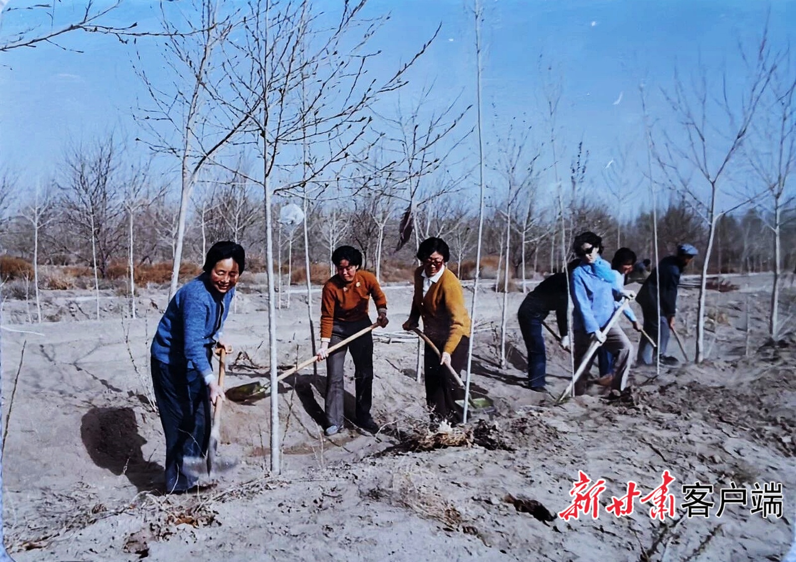 FZ007246262707_A5524644