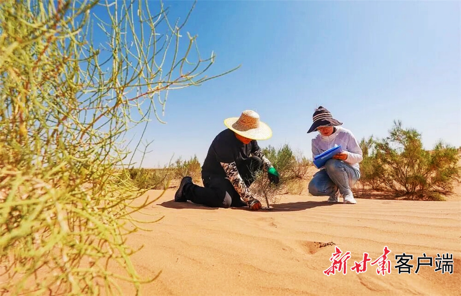 FZ007246262707_A5524645