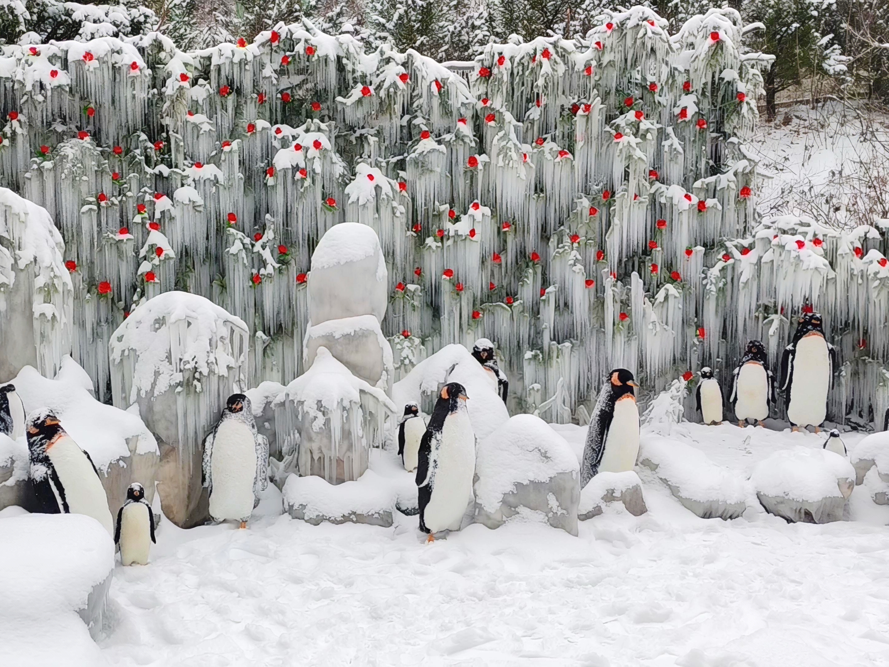 mmexport1767666365754_edit_91404612574141