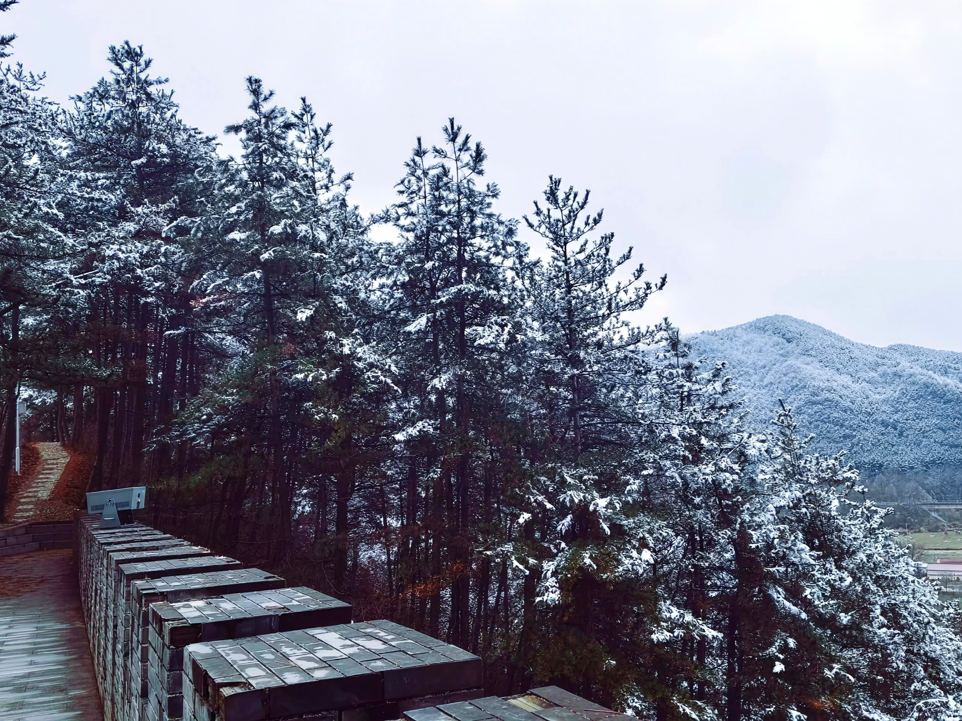 mmexport1767666894588_edit_91737461589326