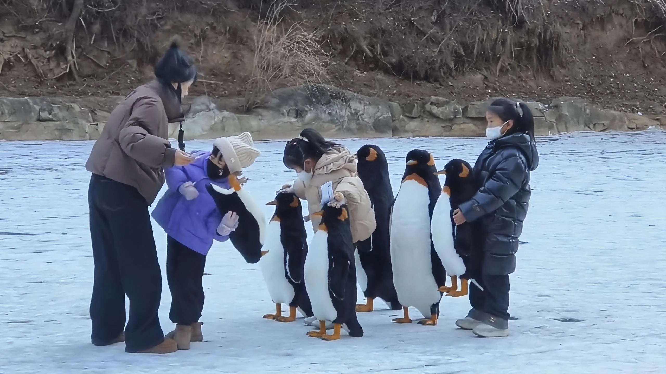 mmexport1767666906547_edit_91586764701676