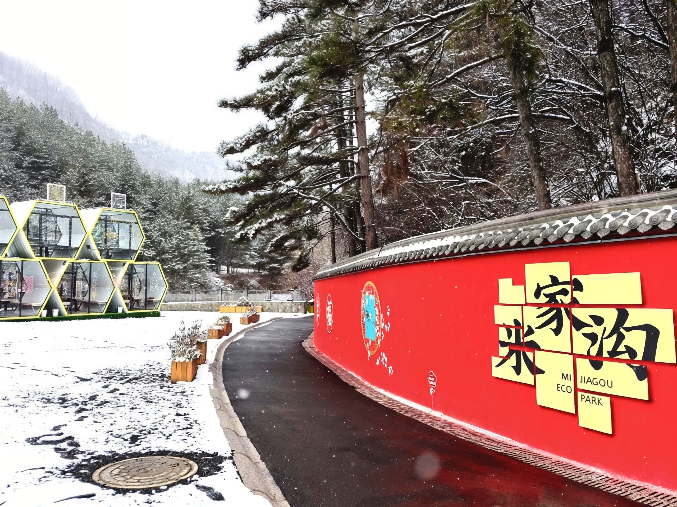 mmexport1767670396859_edit_91504572881915