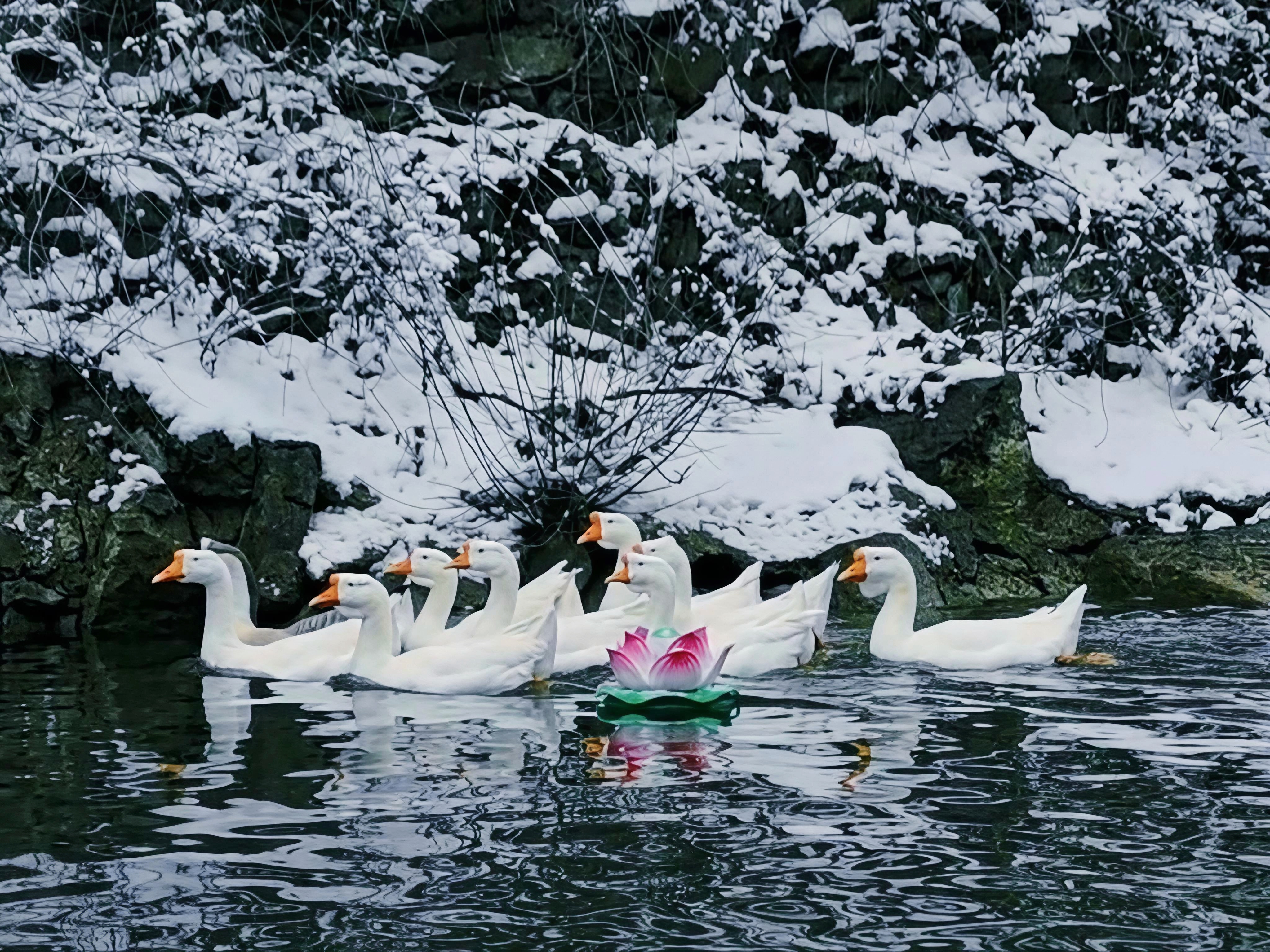 mmexport1767670413085_edit_91478352588123