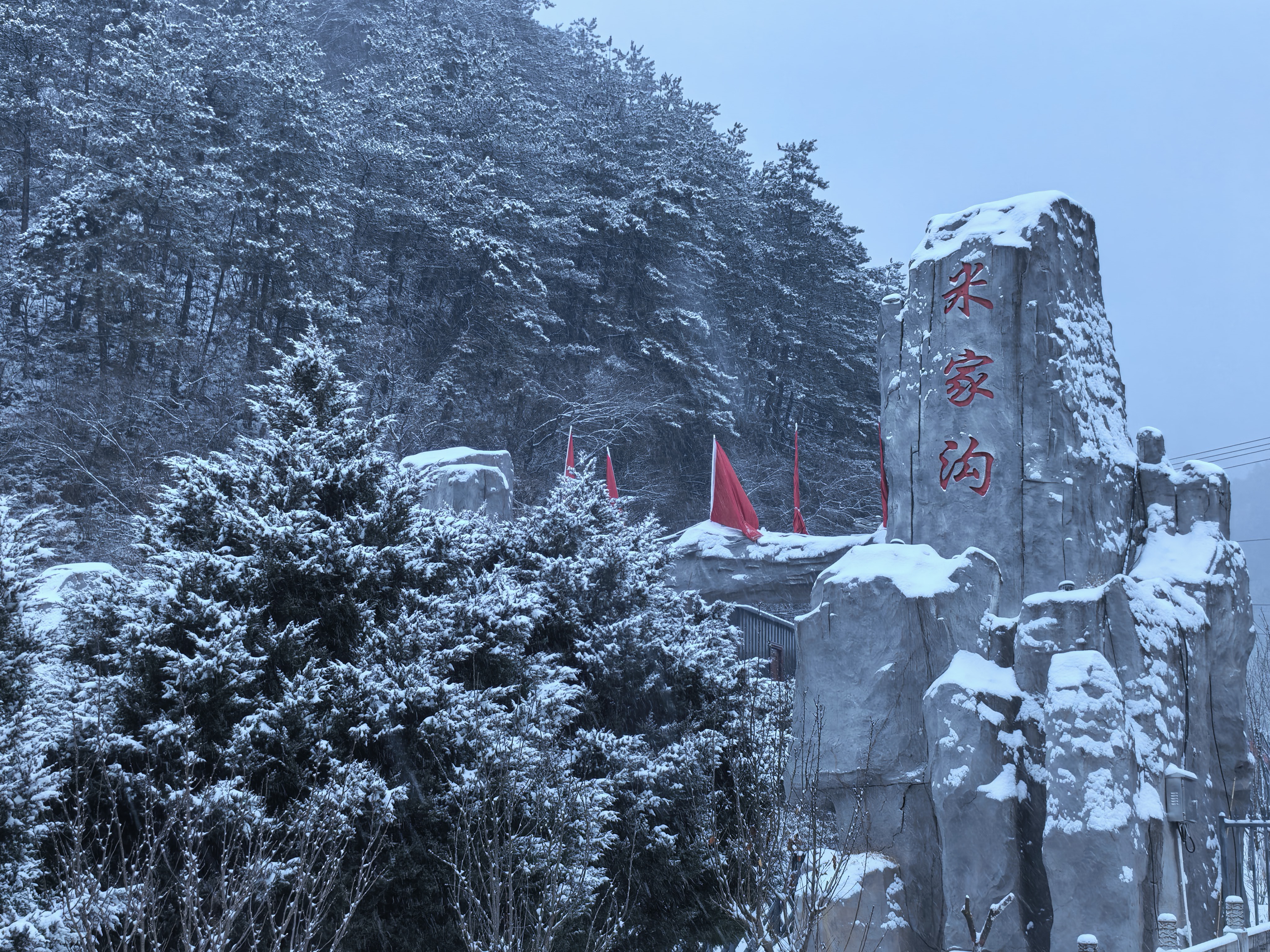 mmexport1767670654956