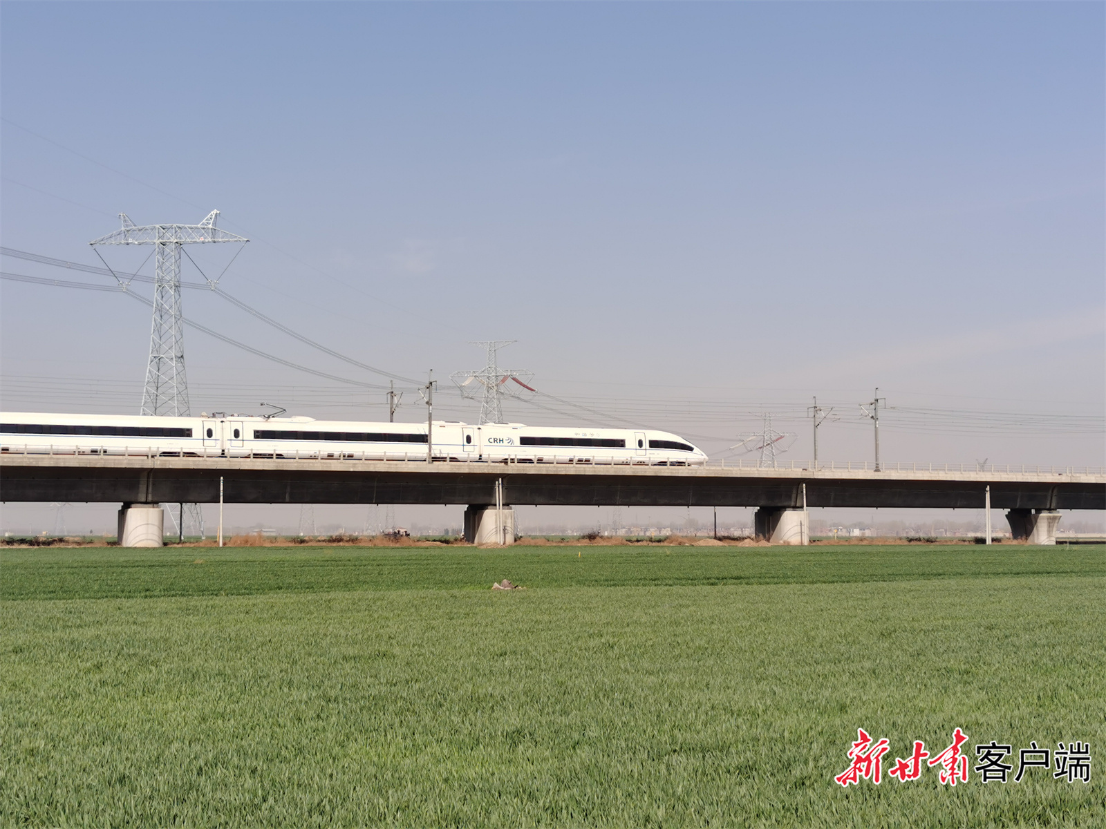 FZ007246436575_A5539037