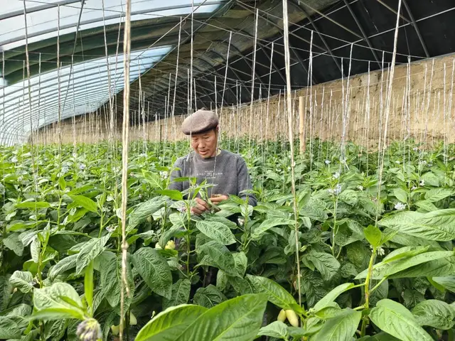 1768902711632042447.png 75e068b0-ec38-4fd0-90d4-5eb74e4ef582.png