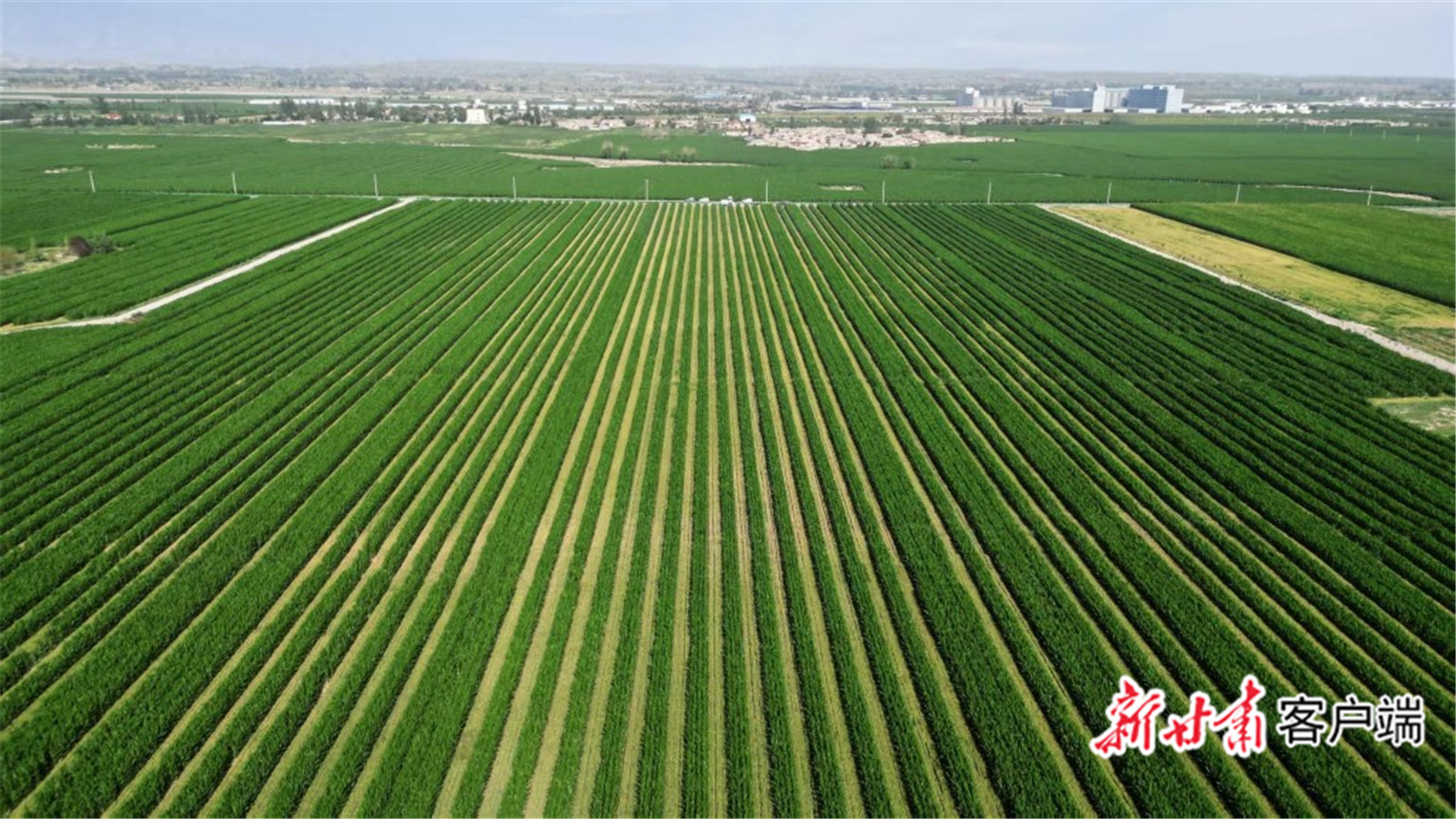 FZ007246482356_A5543378