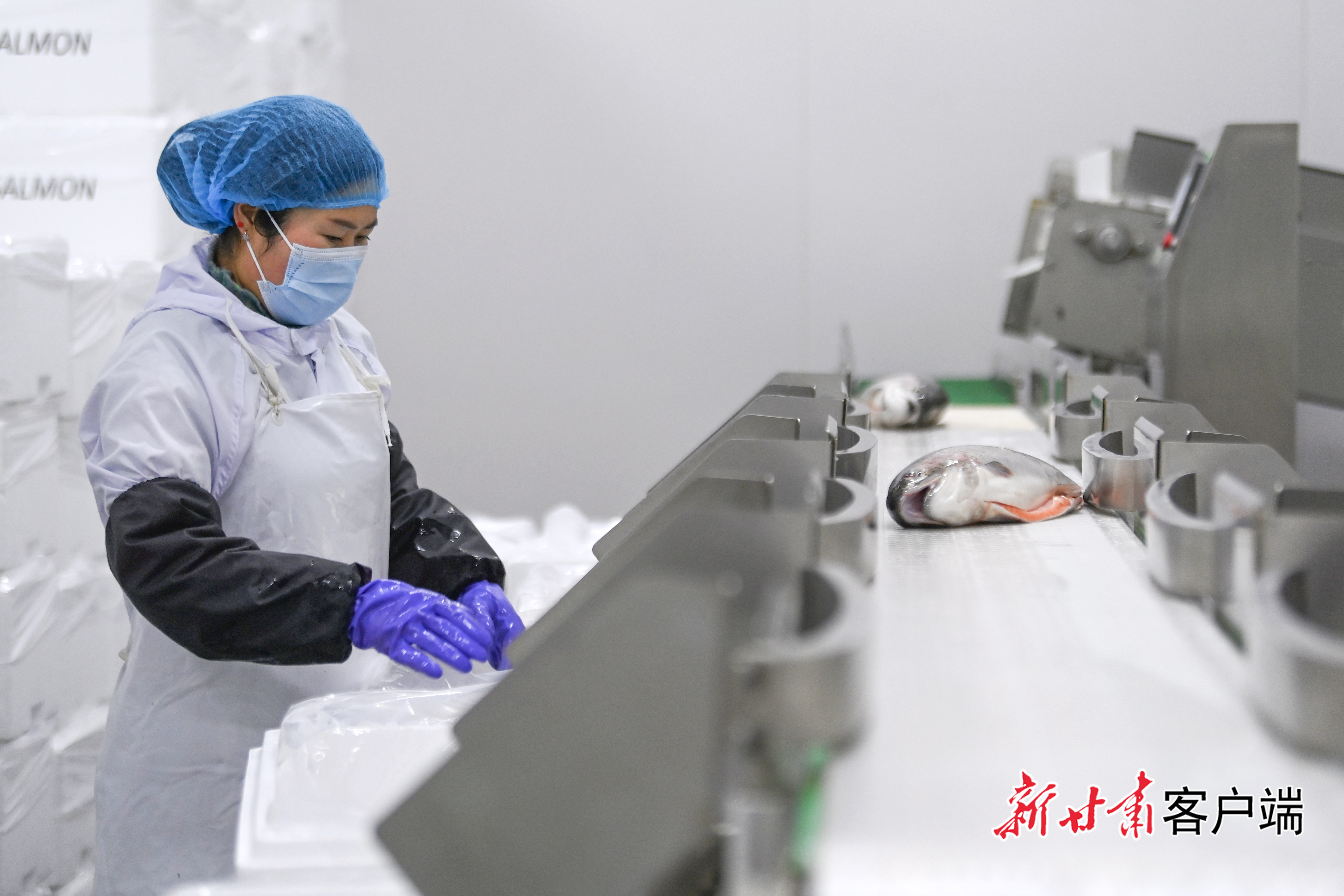 科技赋能 活水兴渔(46489580)-20260122064849