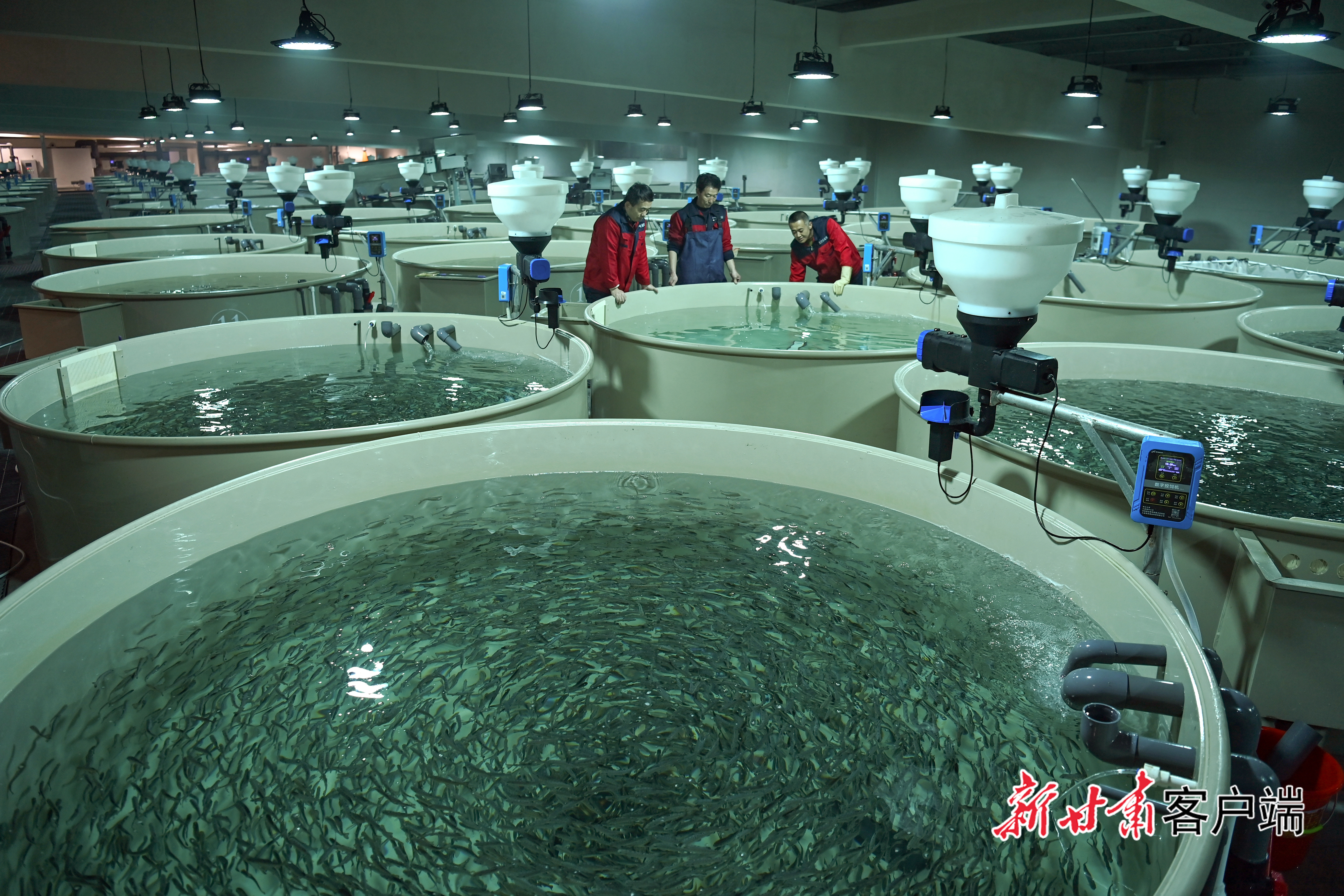 科技赋能 活水兴渔(46490516)-20260122064919