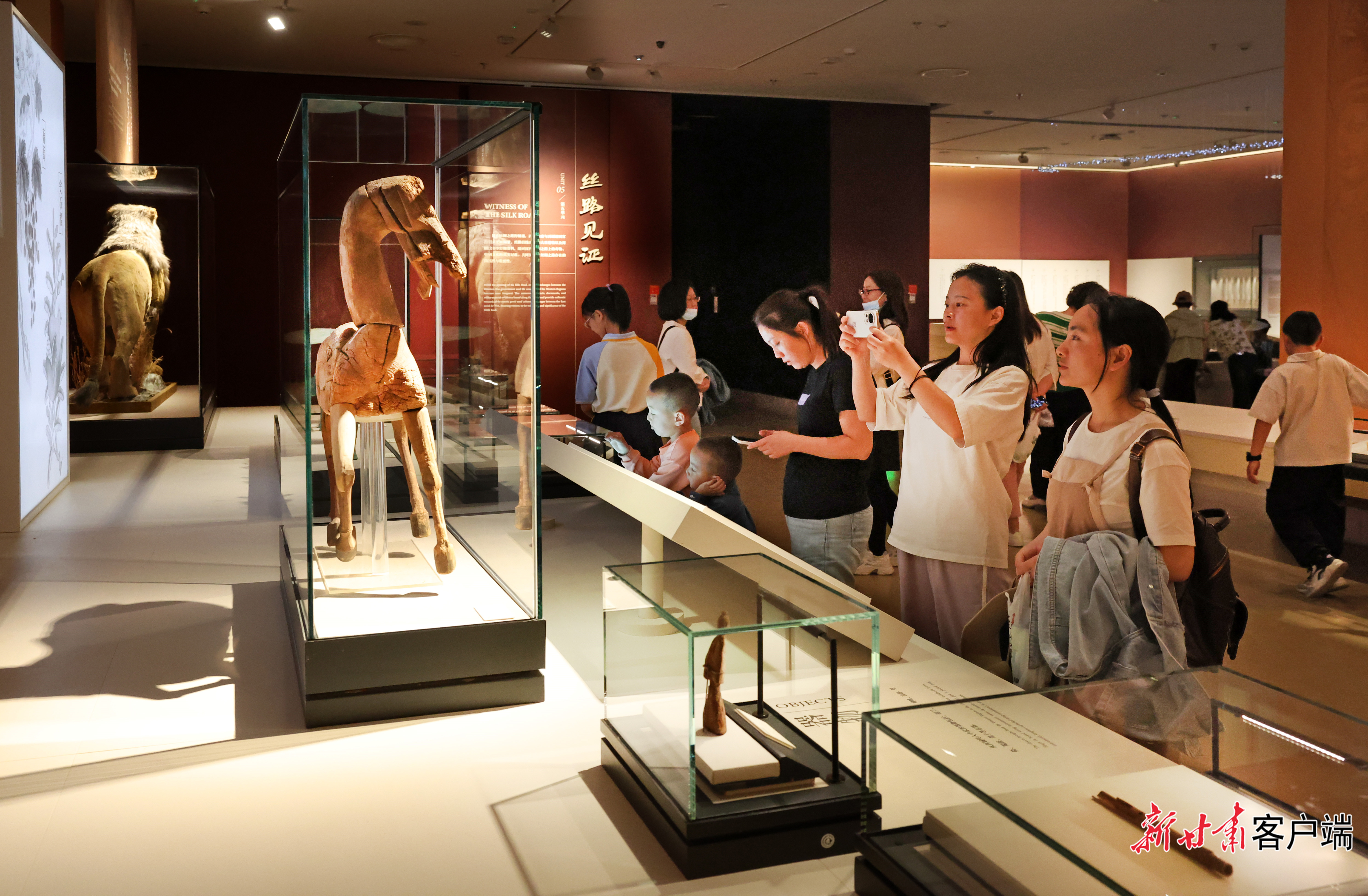 1746239567516094641 (1)