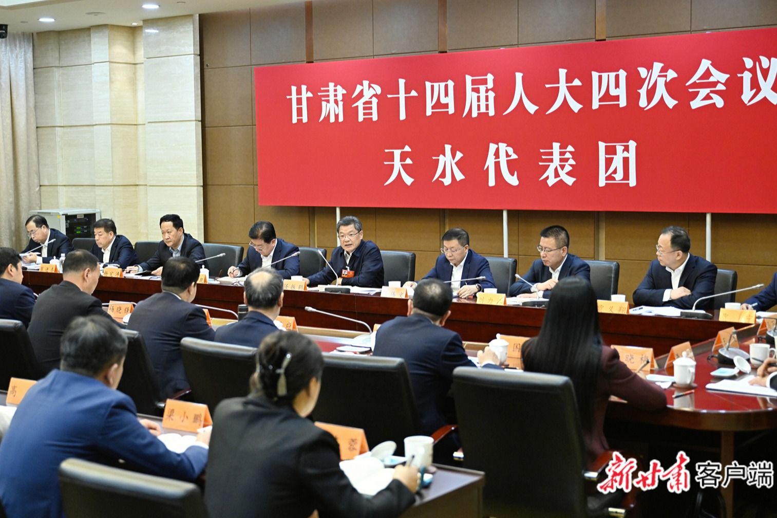 任振鹤参加天水代表团审议