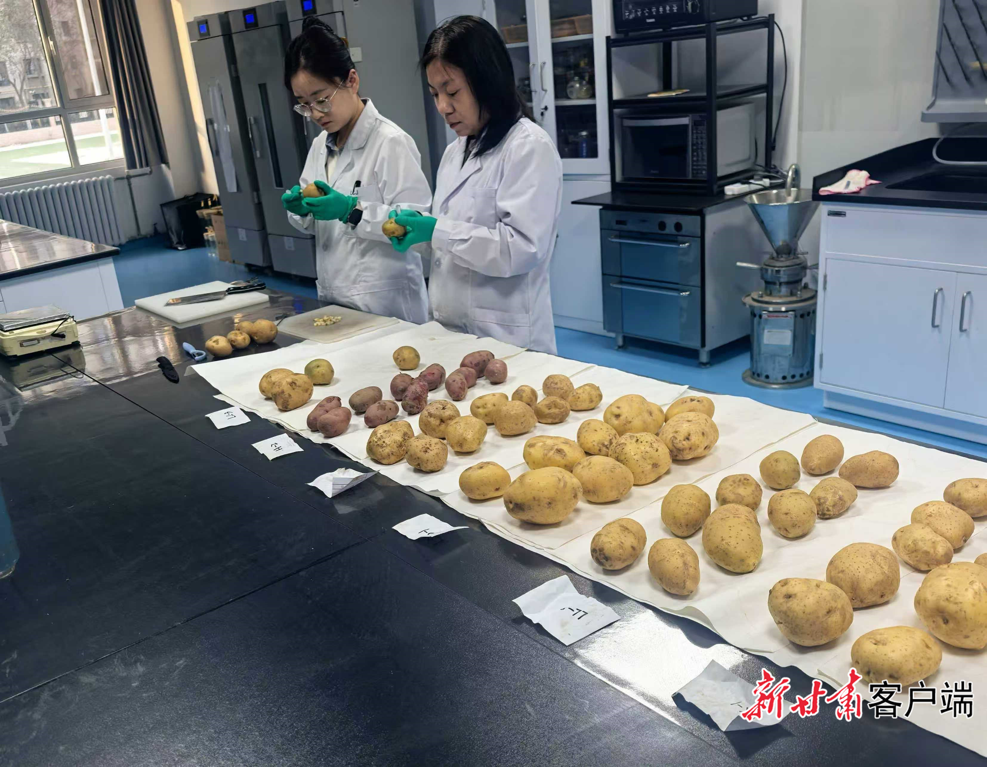 FZ007246672812_A5555624