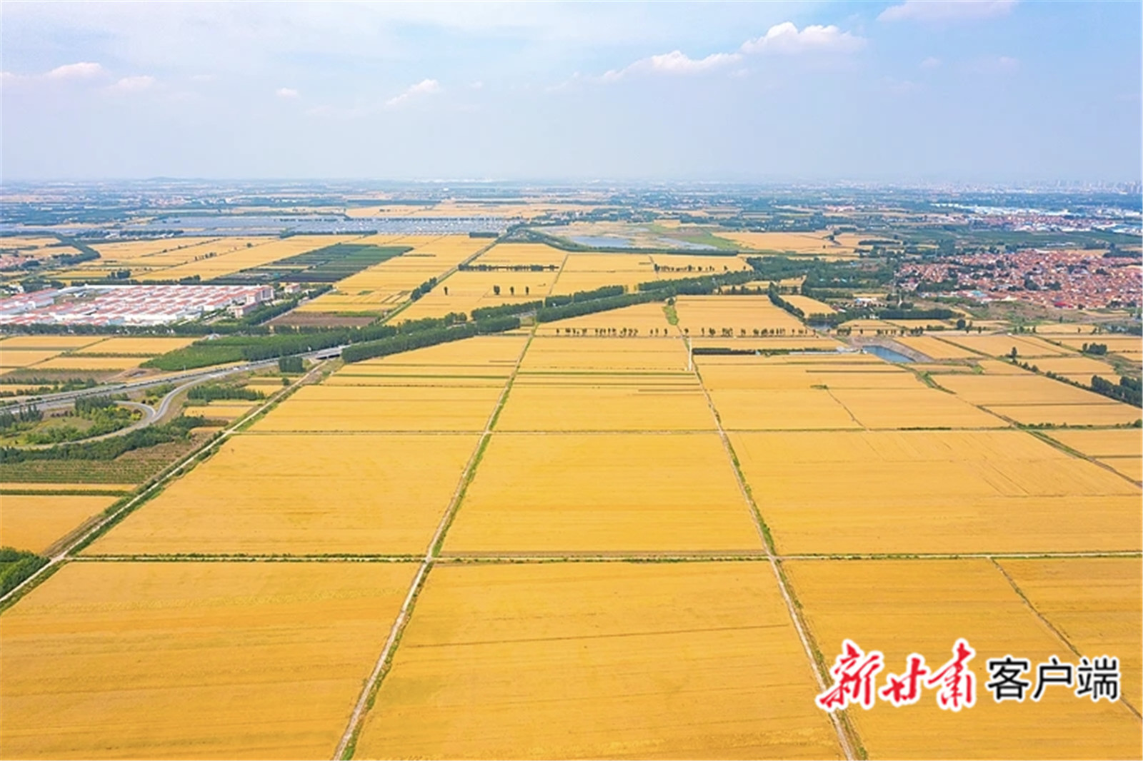 FZ007246686460_A5555727