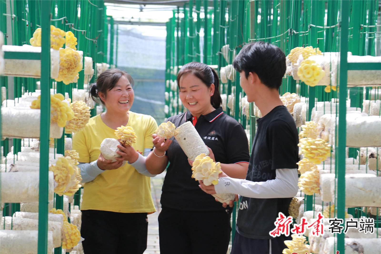 FZ007246686460_A5555734