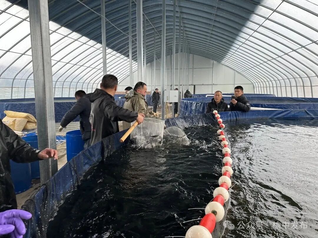 1769758321377025075.jpeg 1769680593344053659.jpeg