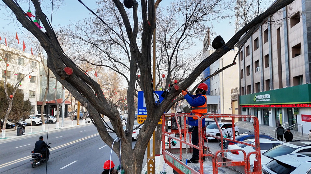 1769763793204098969.jpg 1769763633433010061_副本.jpg