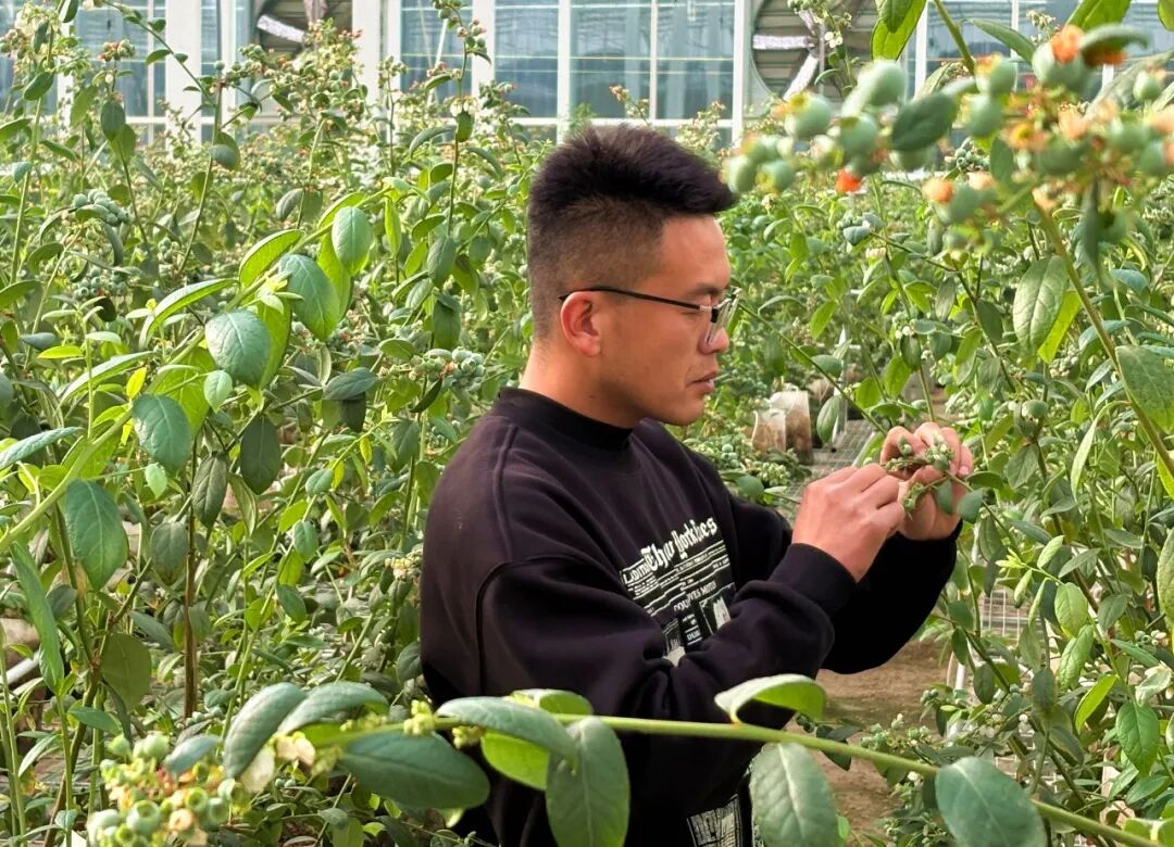 1770106859277001629.jpeg 1770097696412052007.jpeg