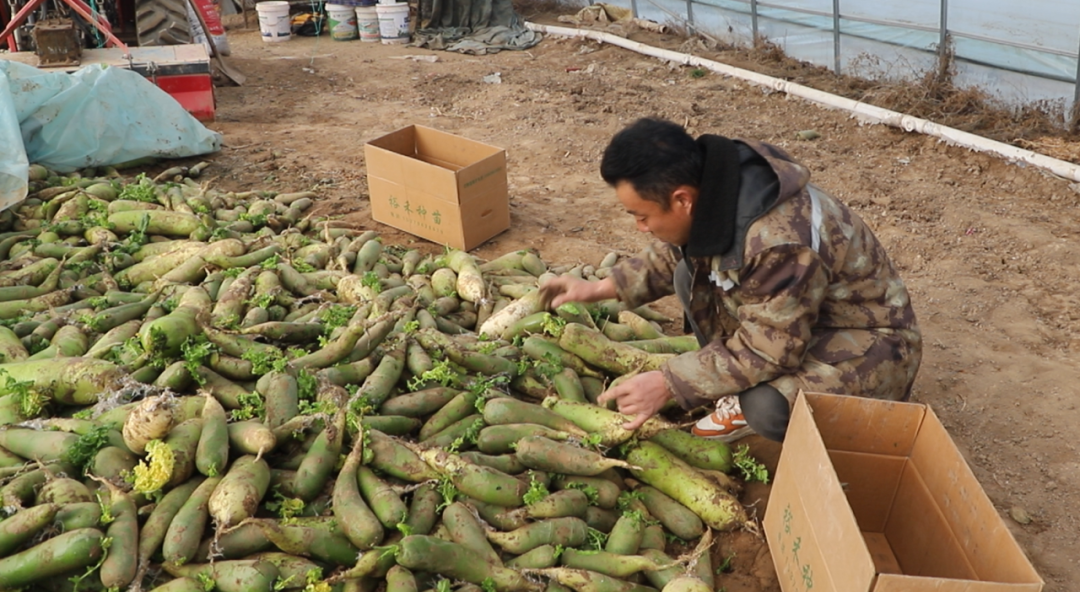 1770107221549086568.png 1769852707903035637.png