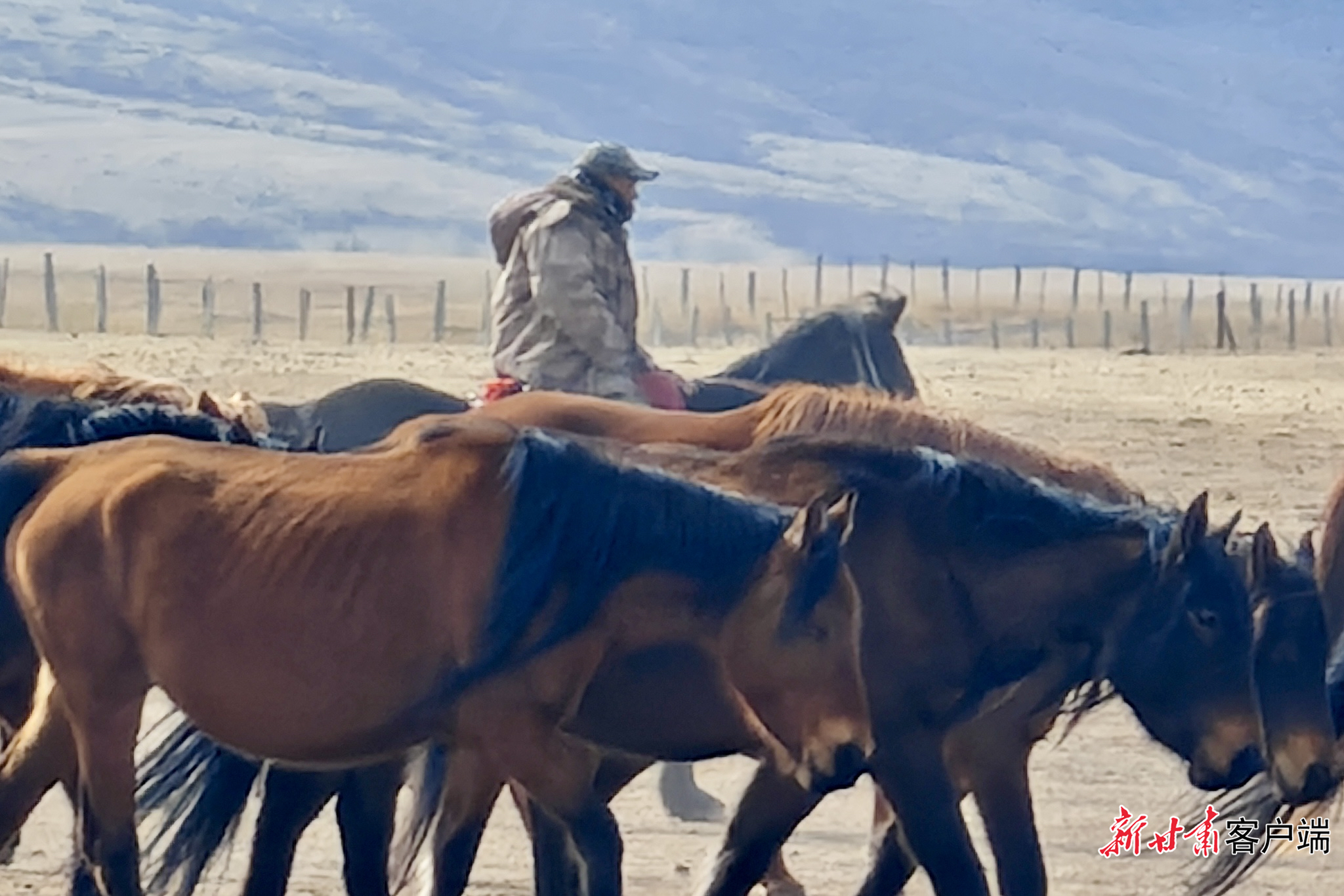 FZ100446801458_A5565435