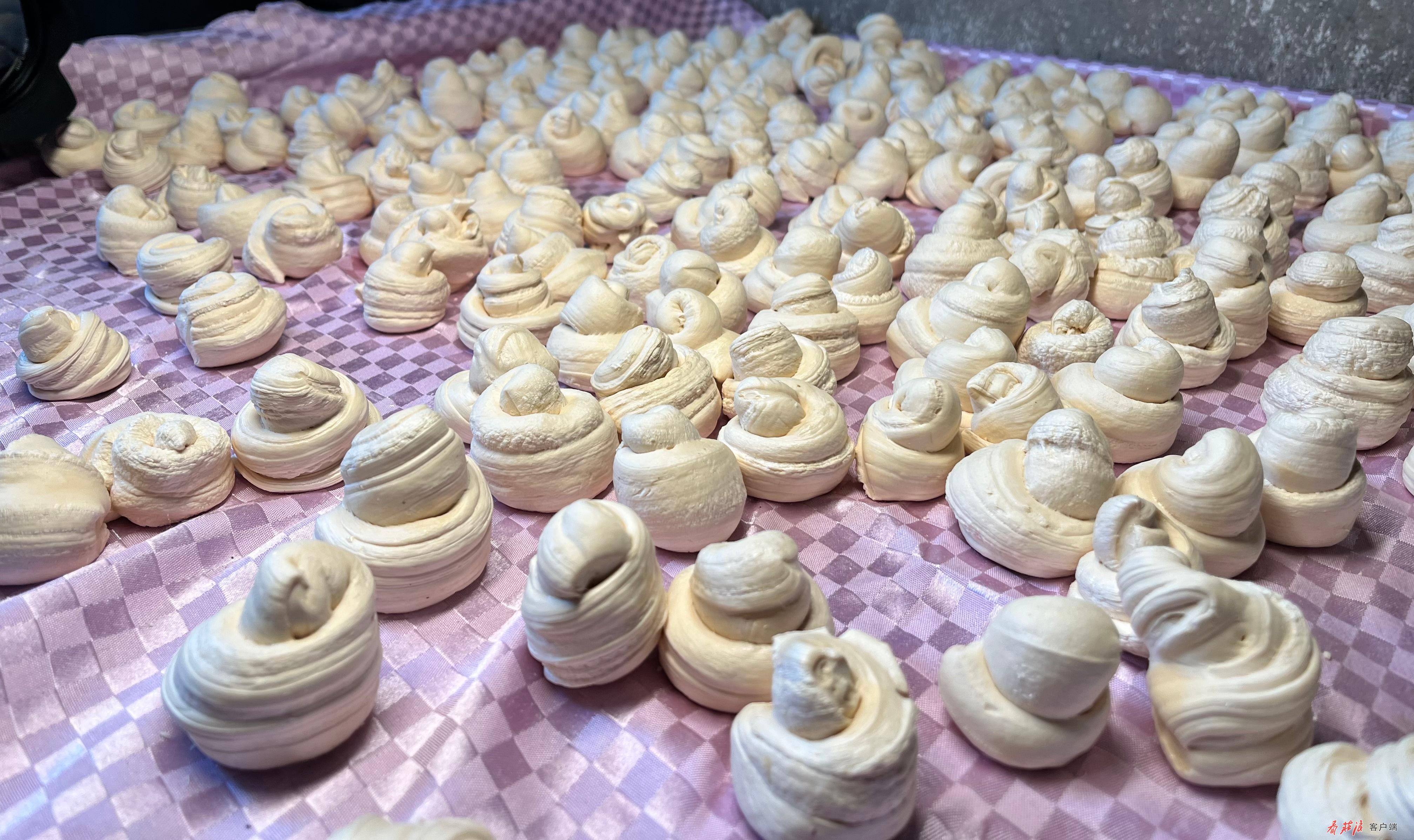 1770349068032006877.jpg 1770192415906028952.jpg