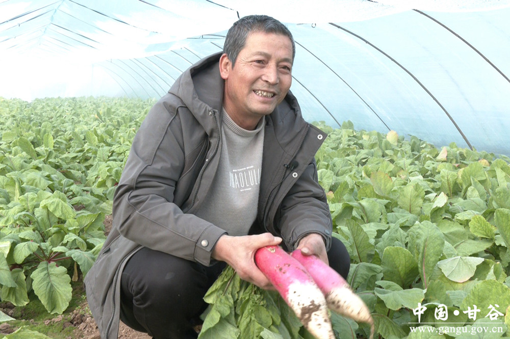 1770624610593032818.jpg 1770350912074023503_副本.jpg