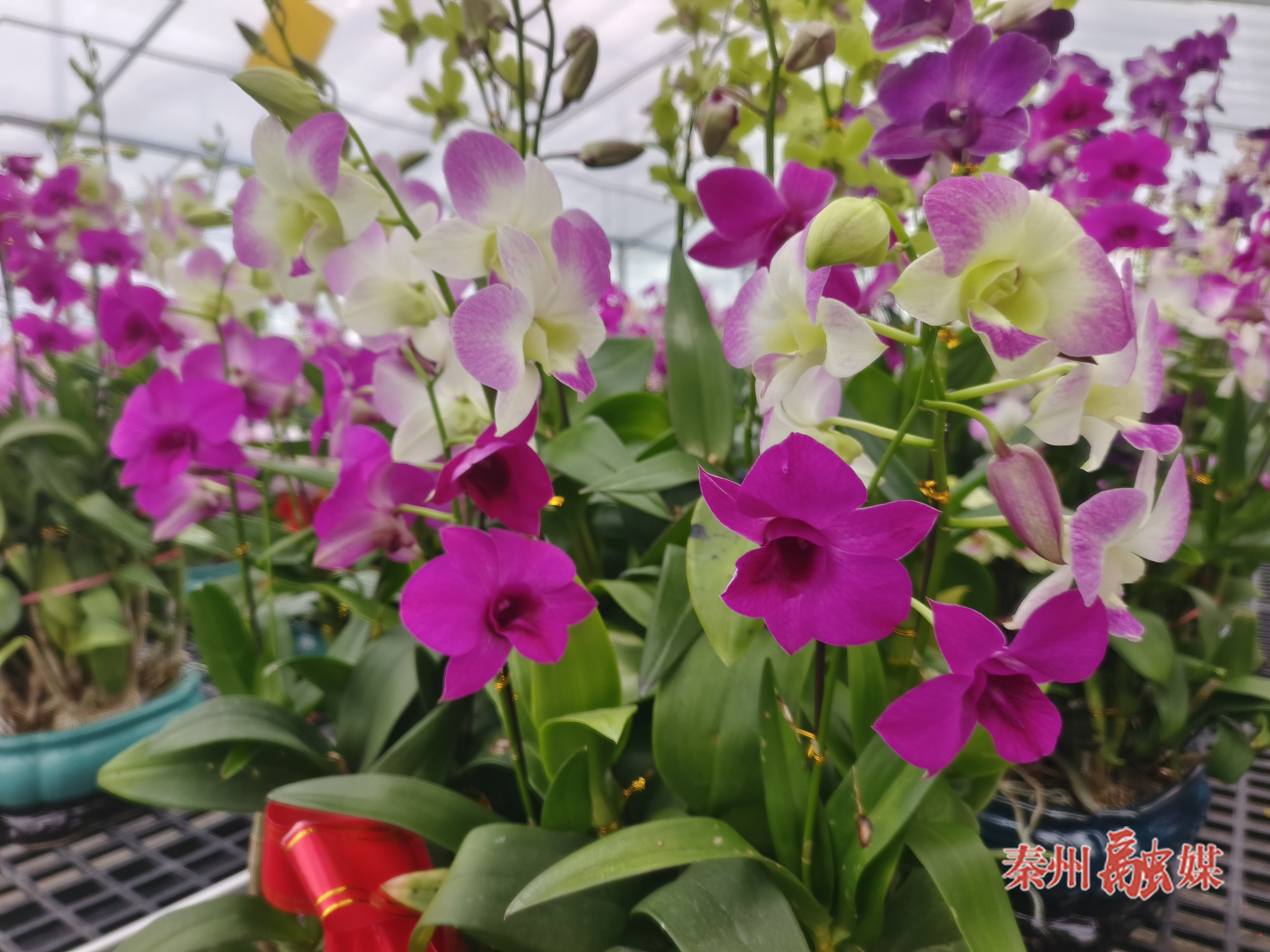 微信图片_20260209160205_315_232