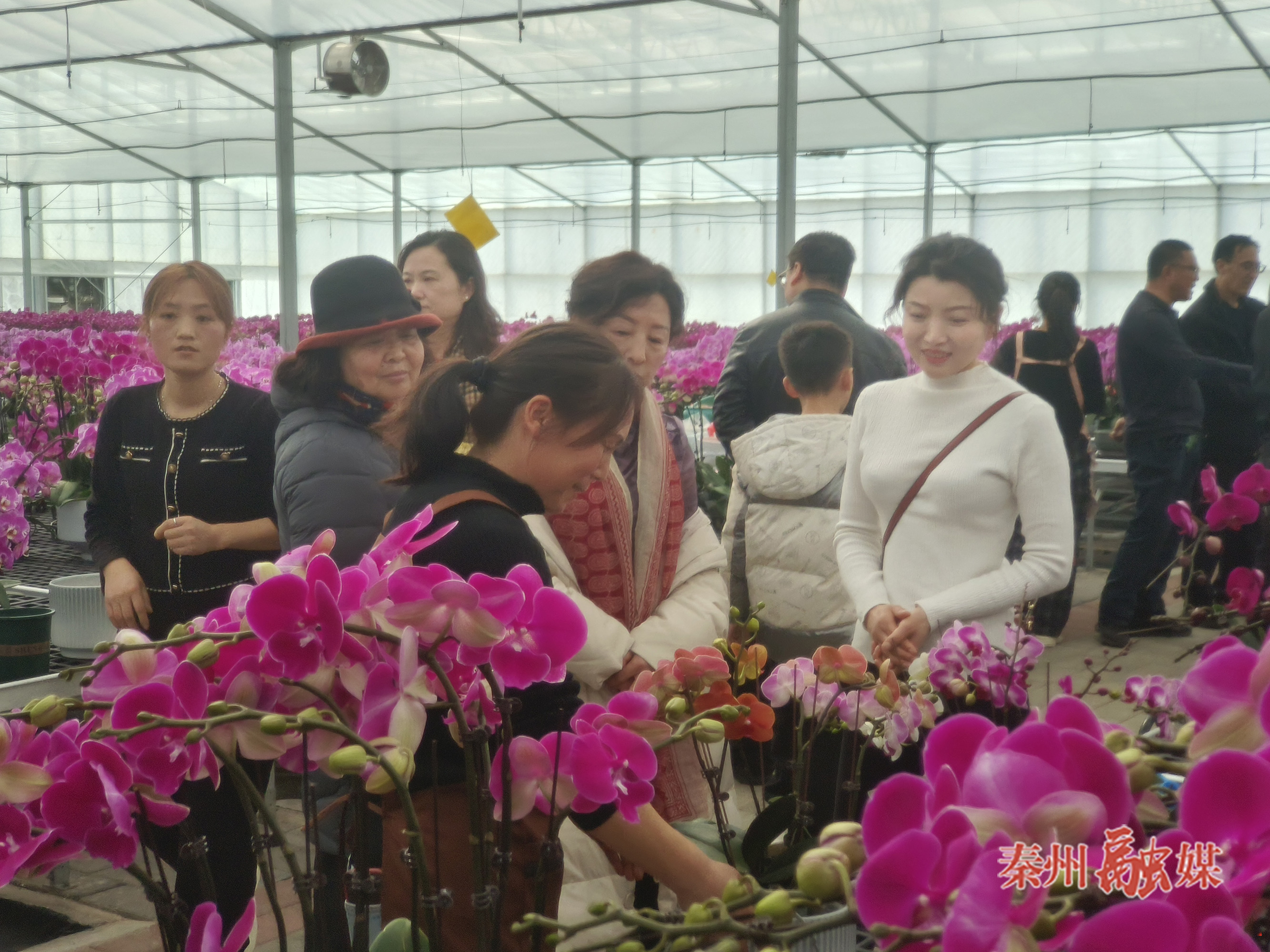 微信图片_20260209160153_300_232