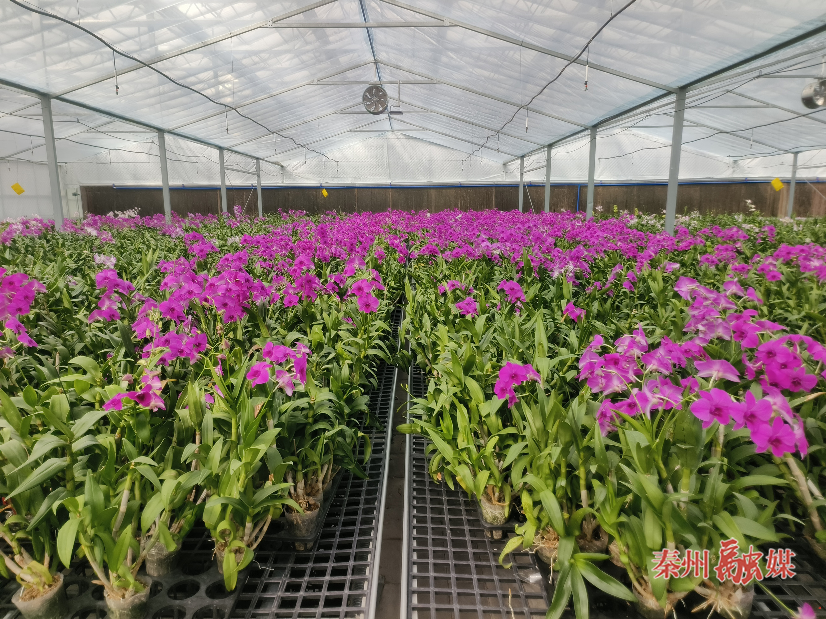 微信图片_20260209160204_314_232