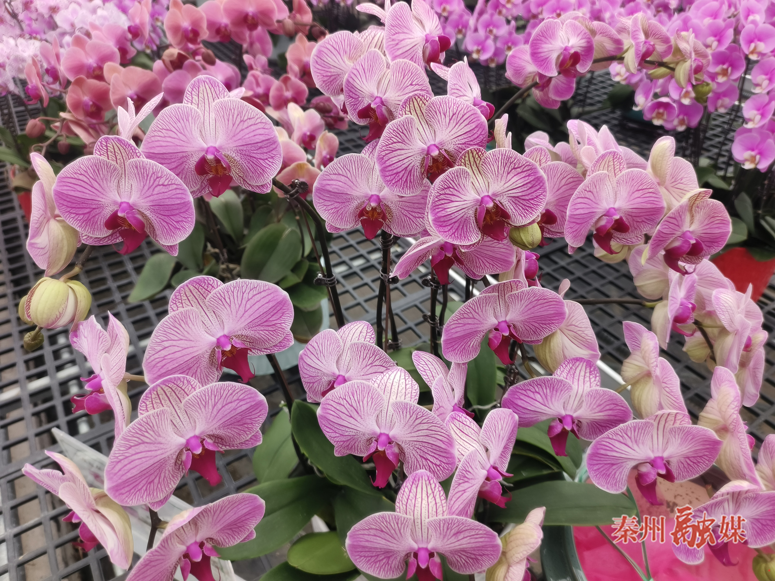 微信图片_20260209160217_319_232