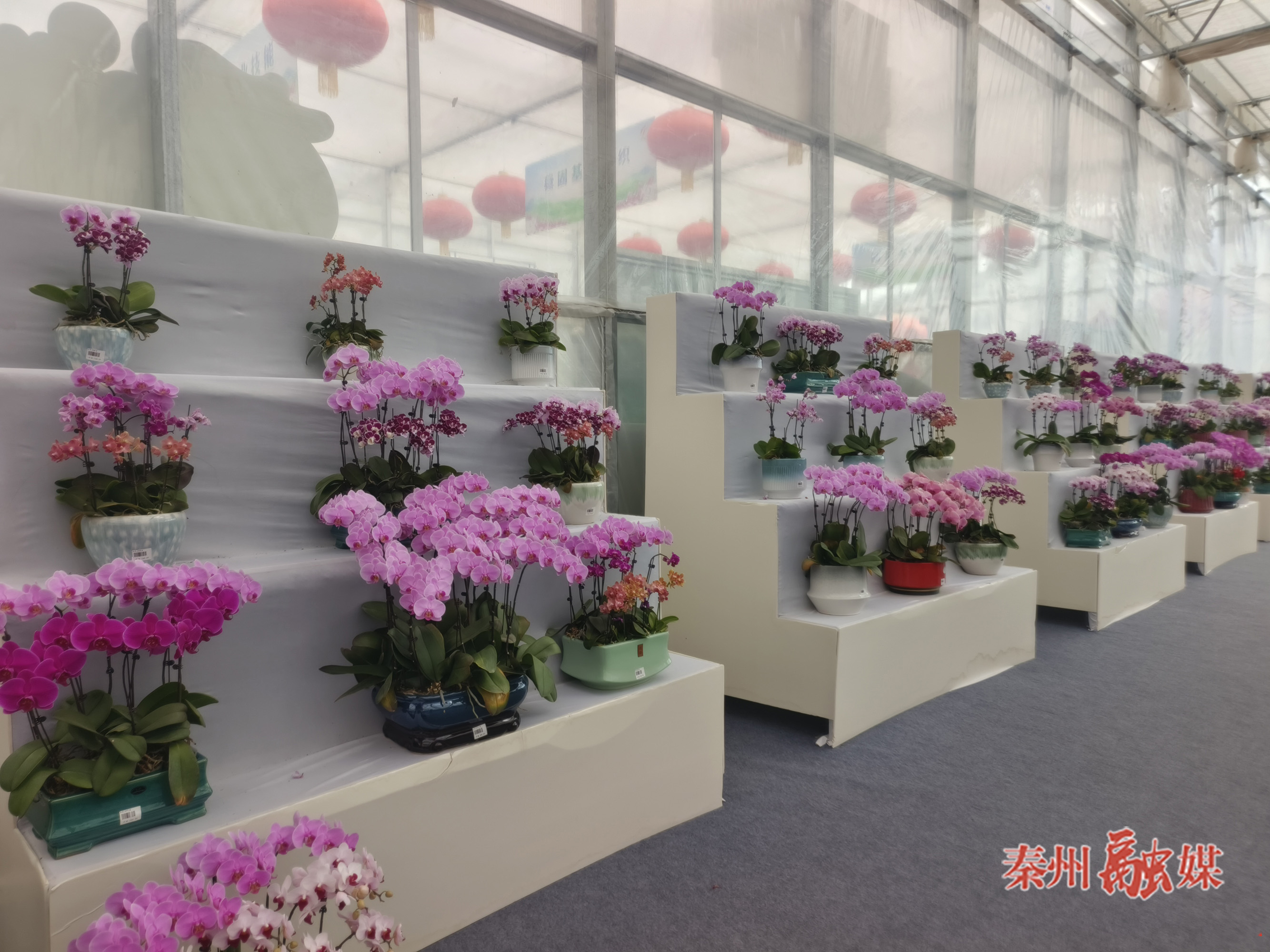 微信图片_20260209160206_316_232