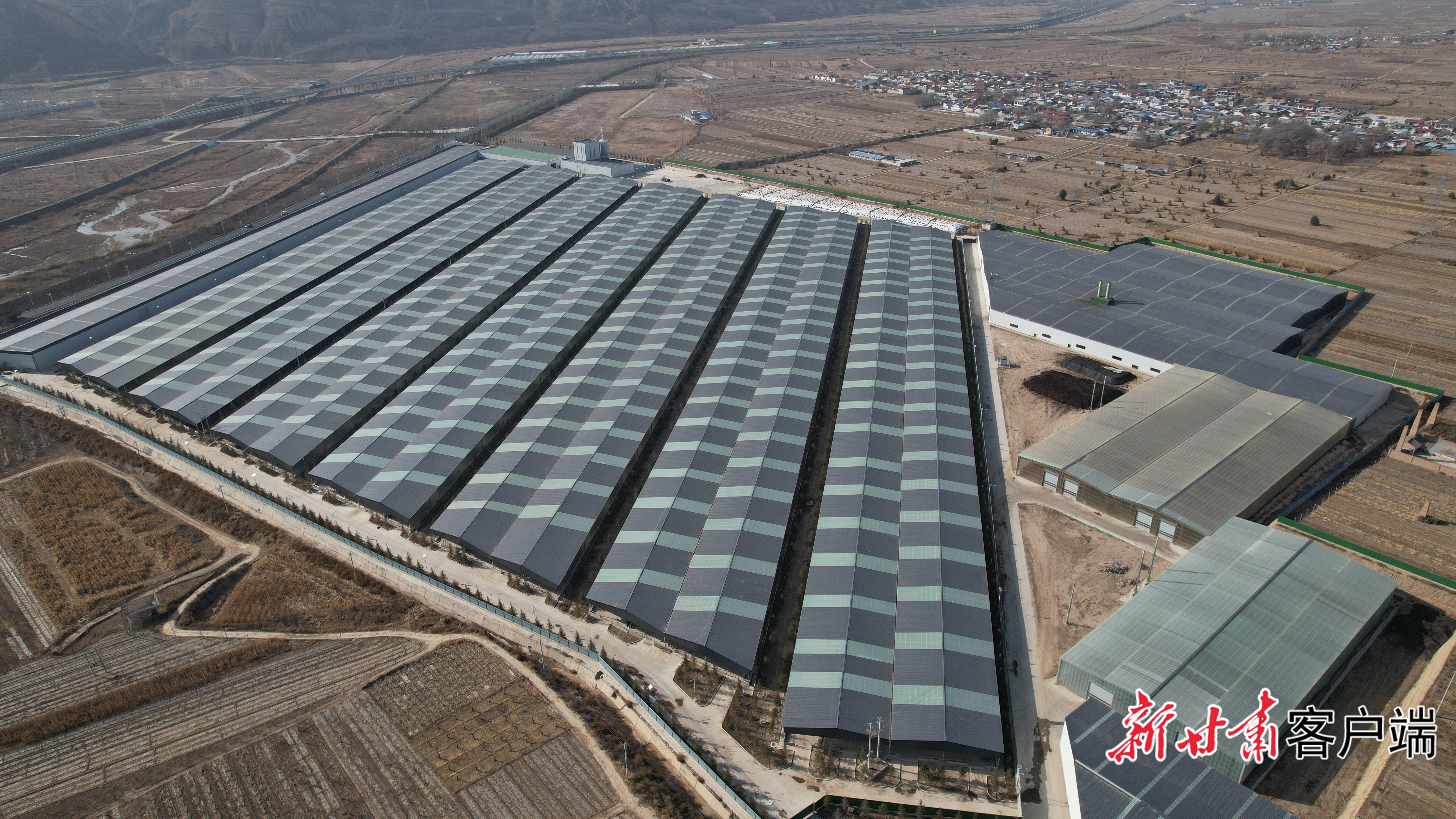 FZ007246941254_A5578908