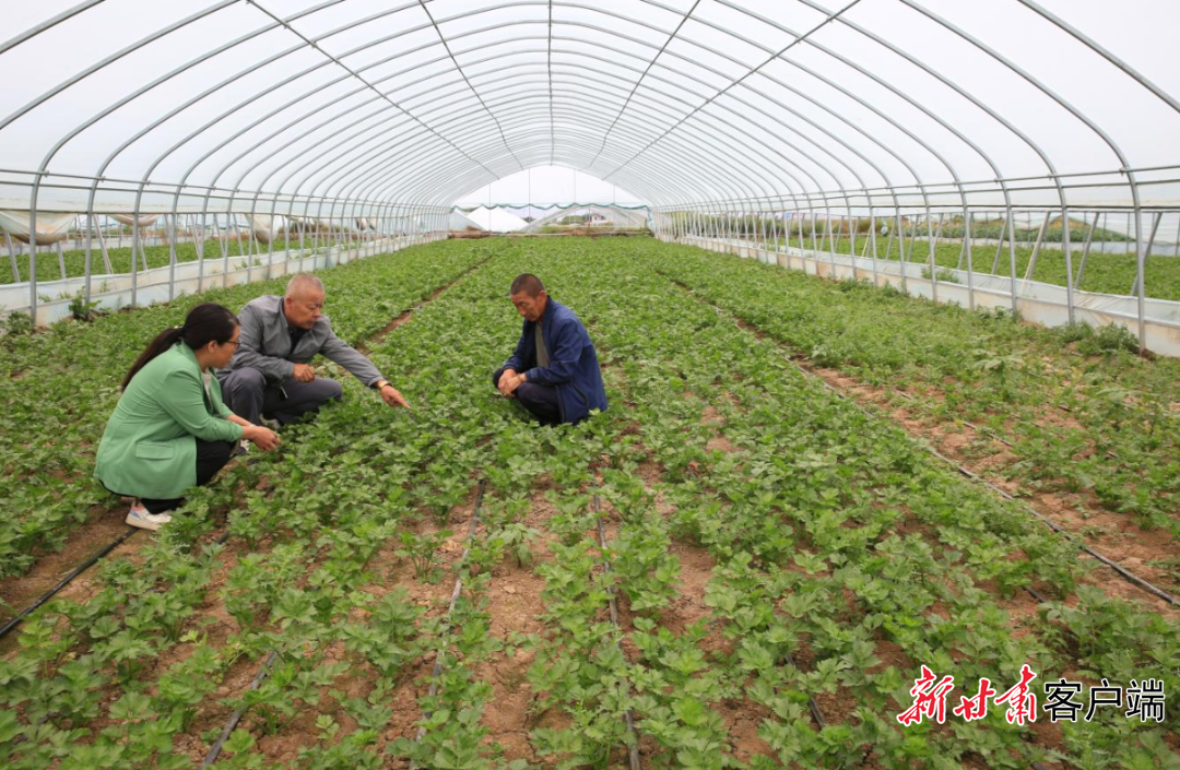 FZ007246941254_A5578909