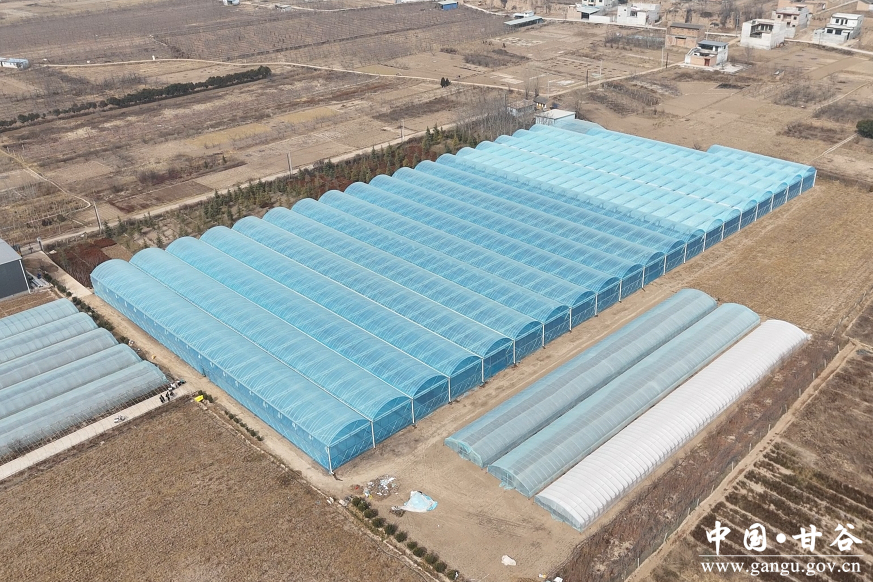 微信图片_20260212155152_51_148