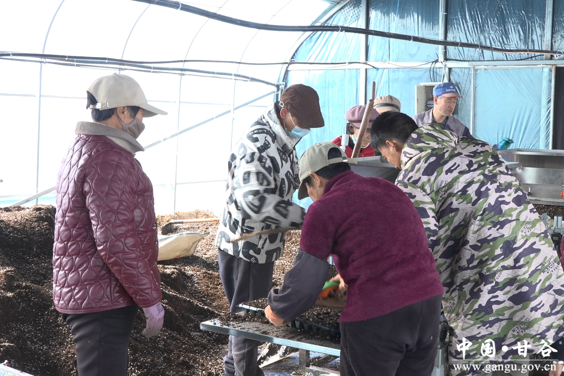 微信图片_20260212155133_43_148