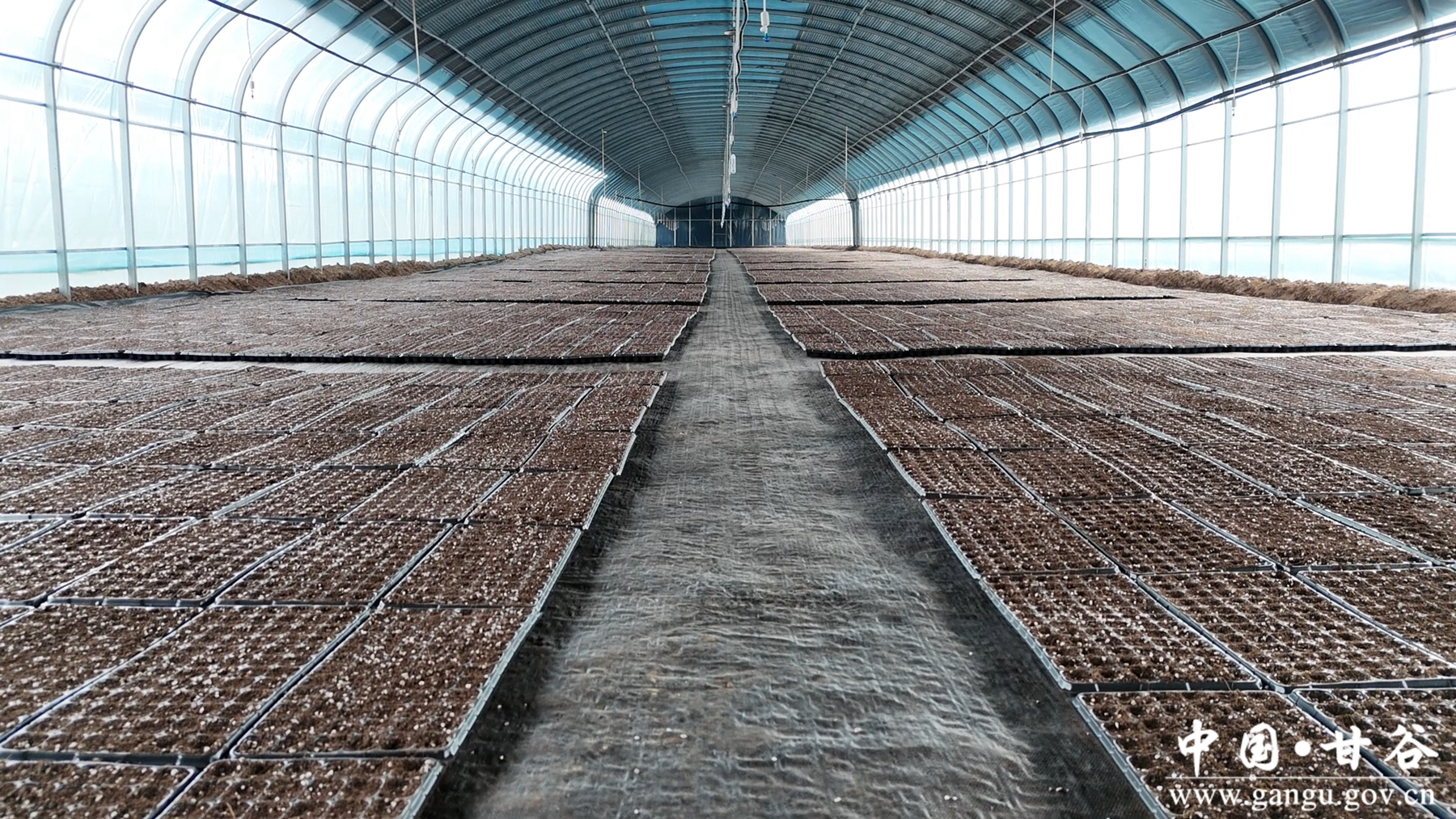 微信图片_20260212155142_46_148