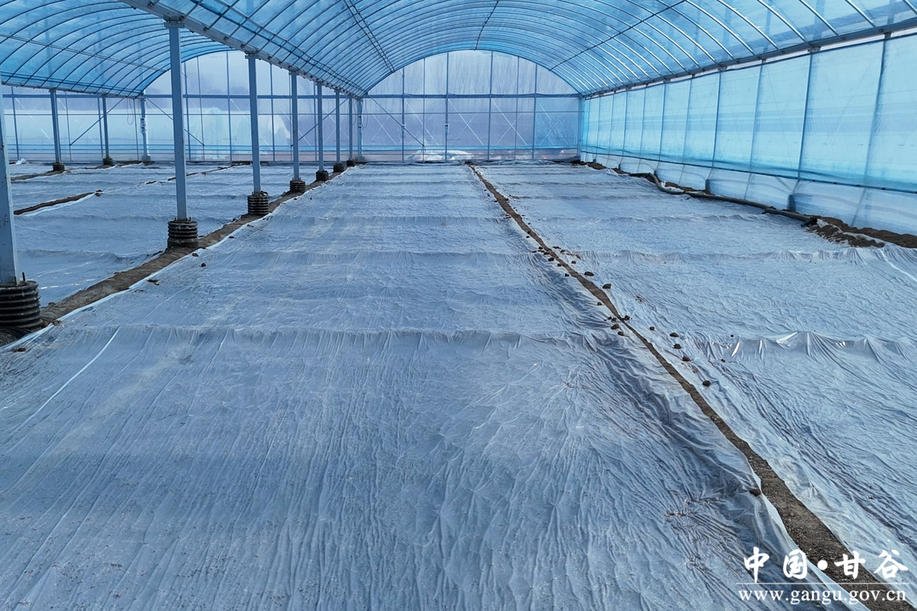 微信图片_20260212155147_48_148