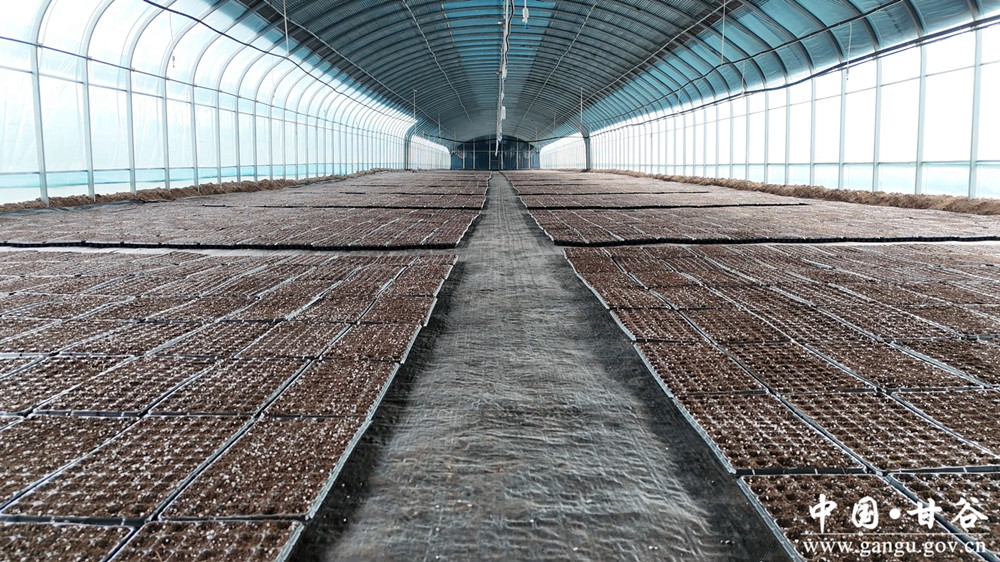 1770971856756038100.jpg 1770952215404058009_副本.jpg