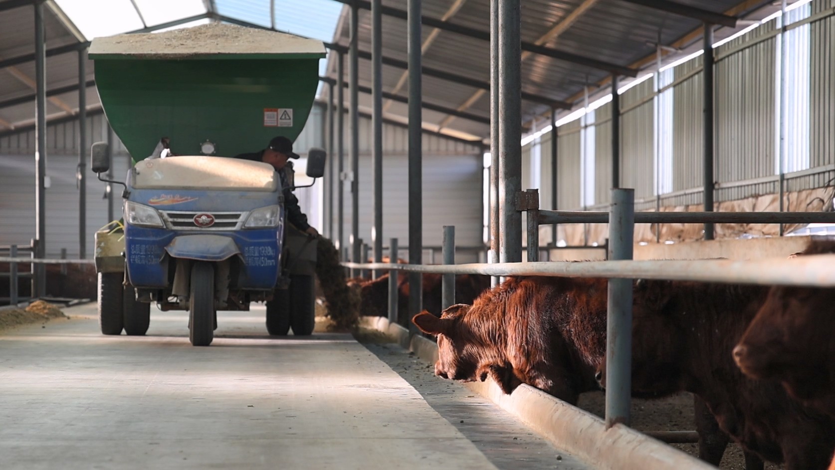 1770972215594019782.jpg 1770879016735006185.jpg