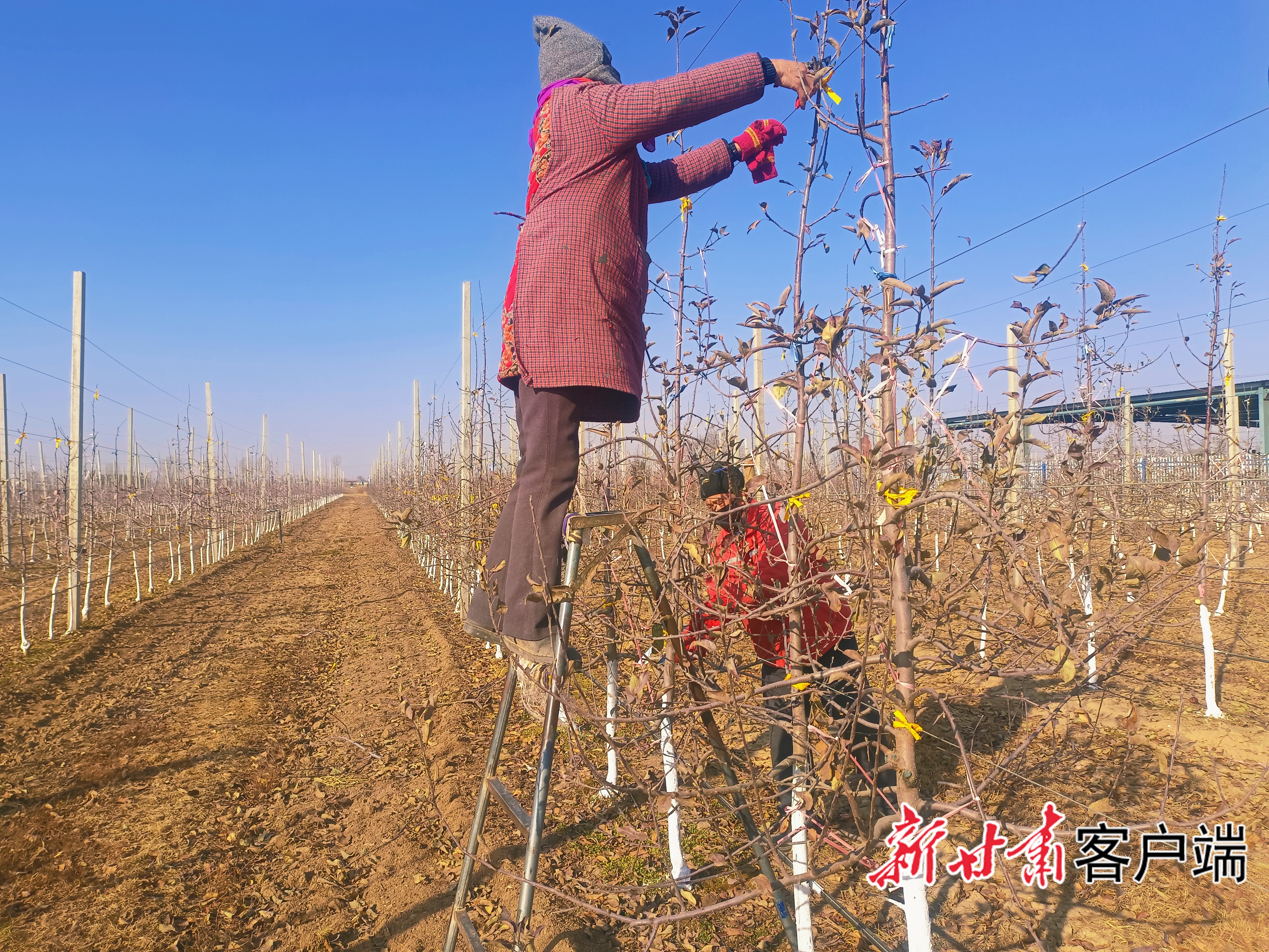 image_0 - 2026-02-24T164731.159