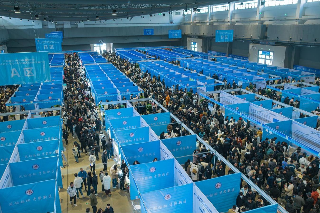 青春奔赴 潮涌新区