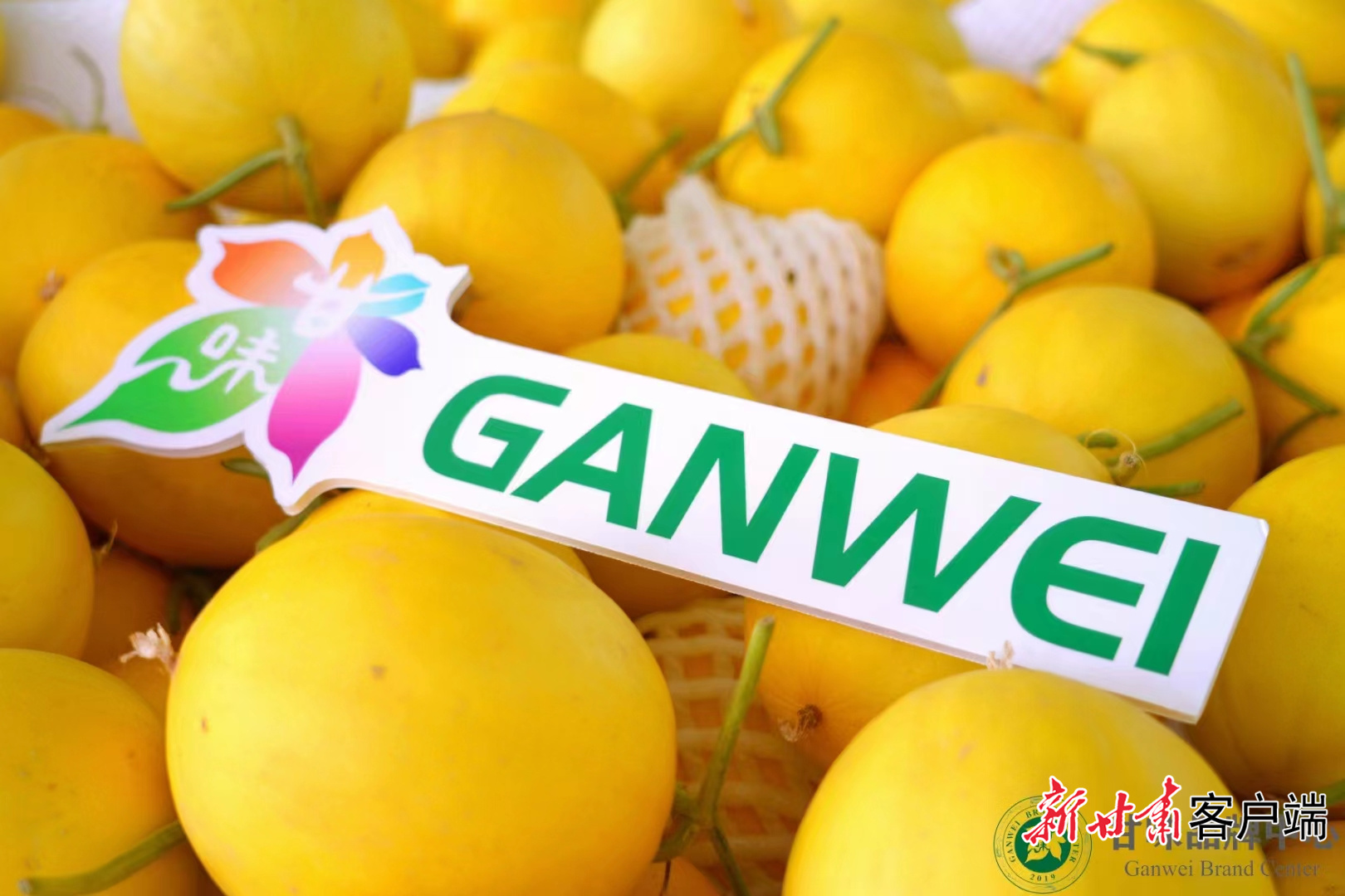 FZ007247113085_A5600501