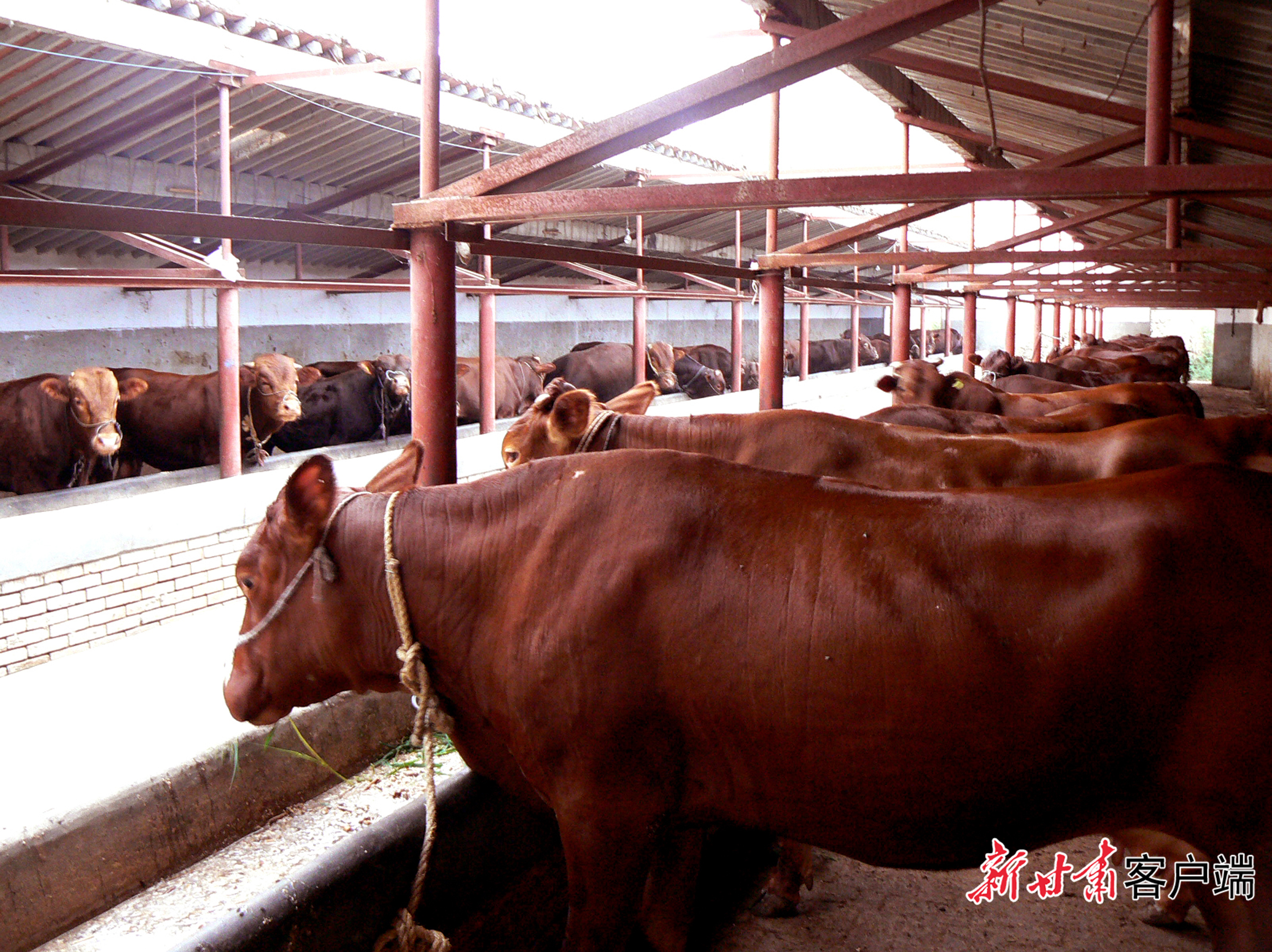 FZ007247113085_A5600502