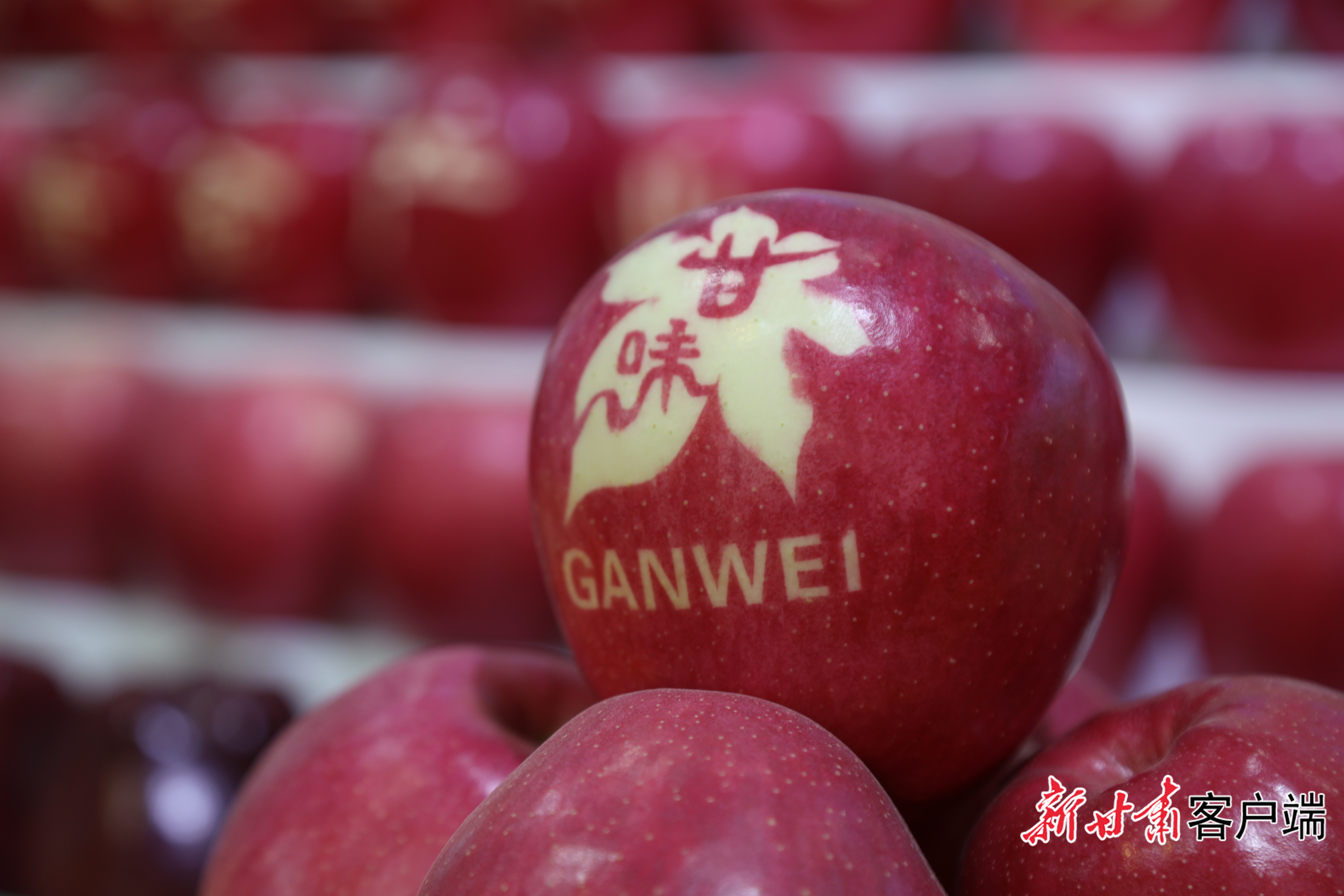 FZ007247113085_A5600504