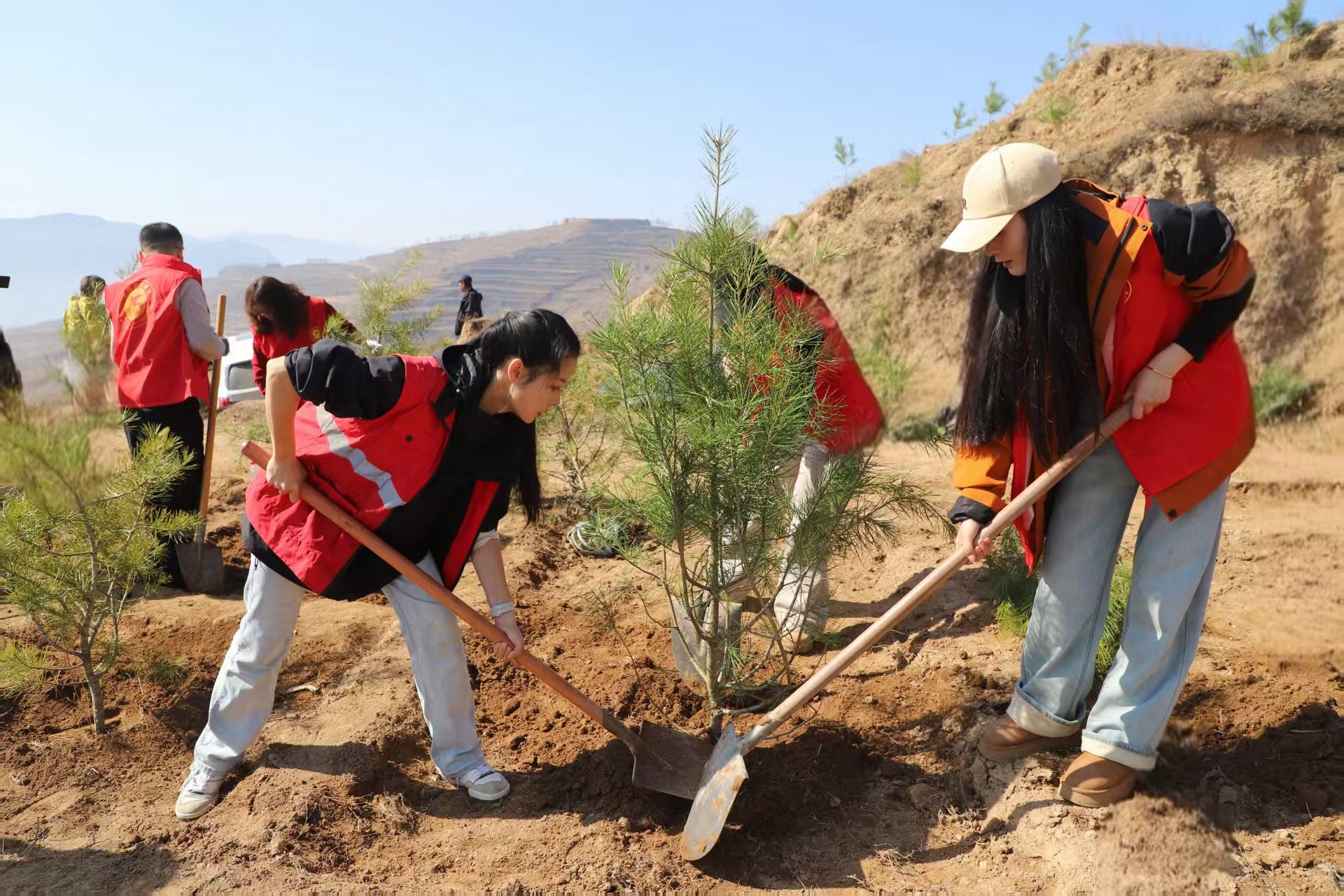 1773299803635057864.jpg 1773217052321040285.jpg