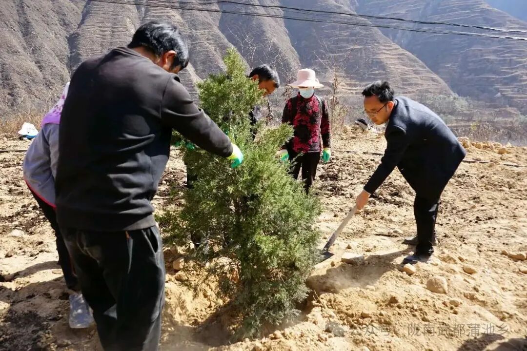 1773300654595091968.jpg 1773025815629078092.jpg