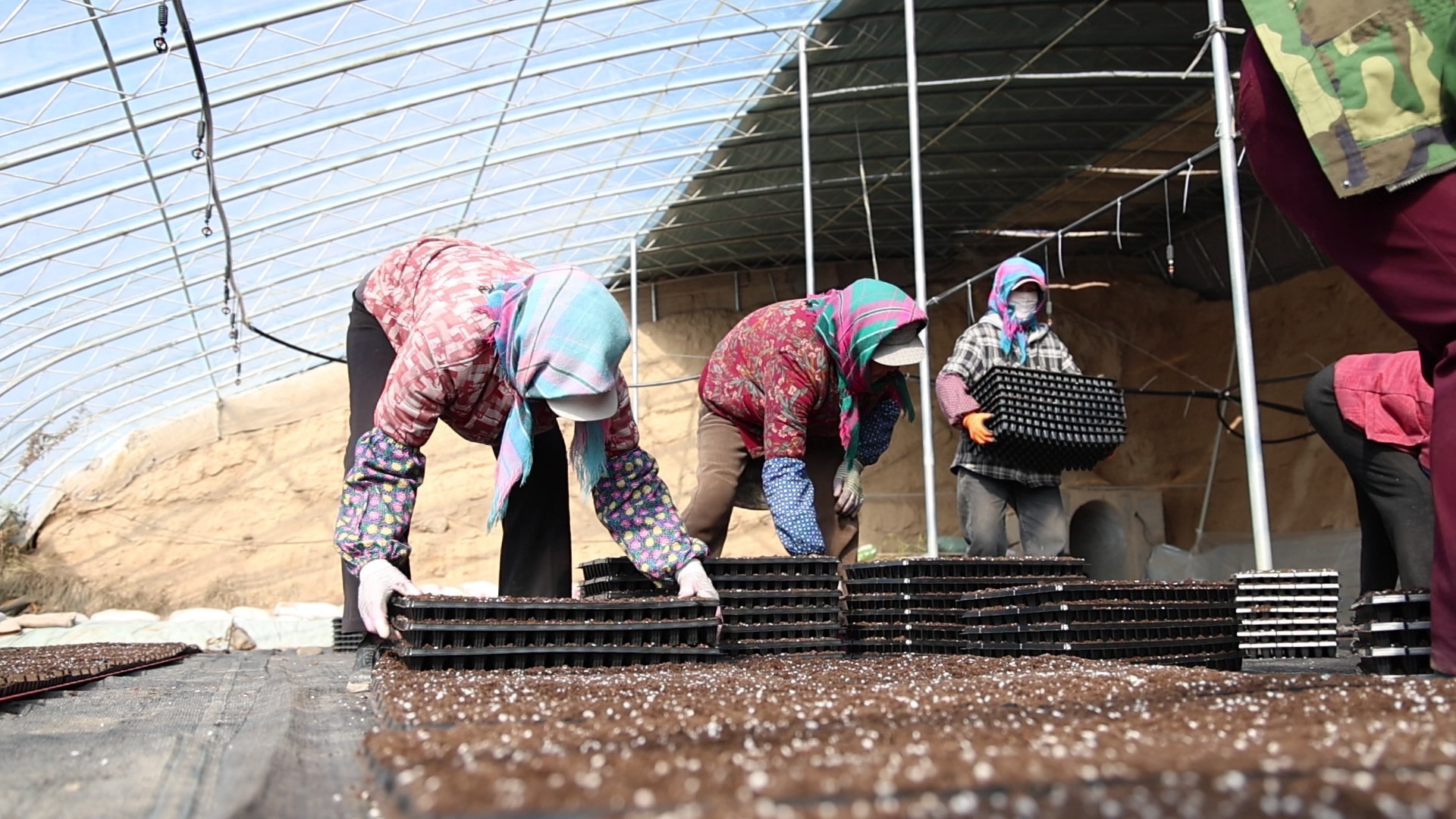 1773301985364038788.jpg f6c1cb50183044b88175eb8cf769078b.jpg