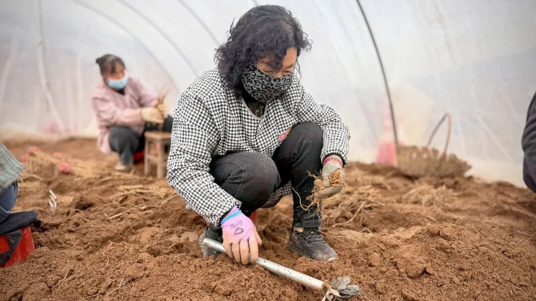 1773302181528055877.jpg 1773215716398001781.jpg